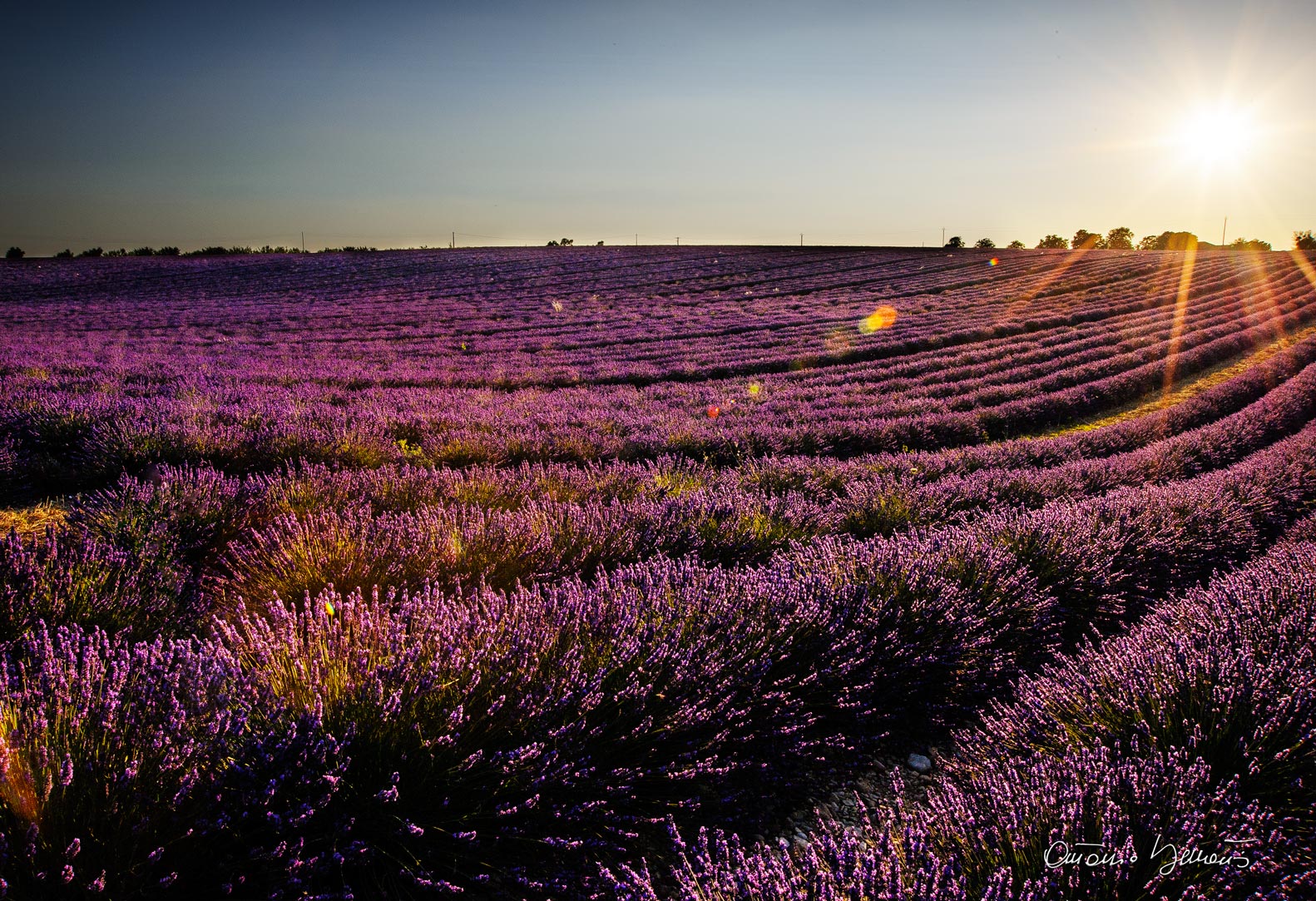 Provence