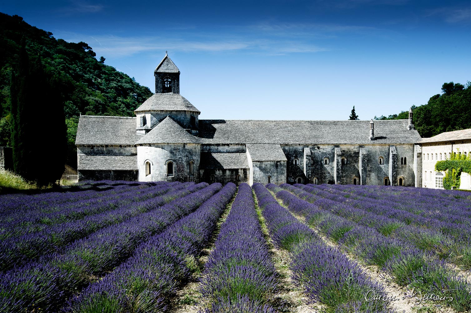 Provence