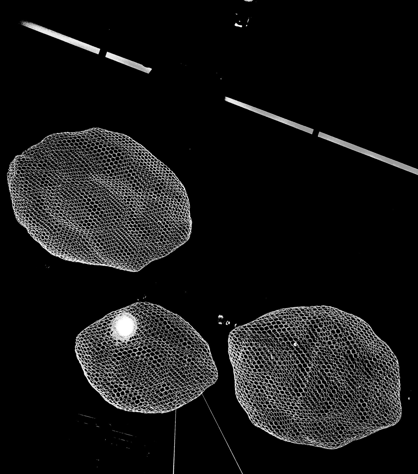 The Mouth of Madness