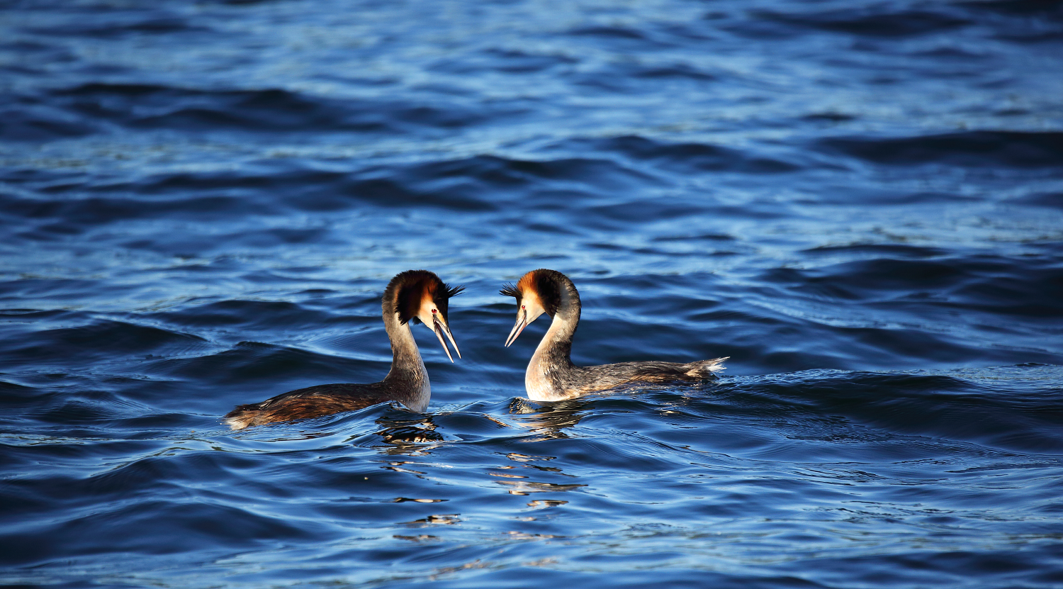 I love in the air ...