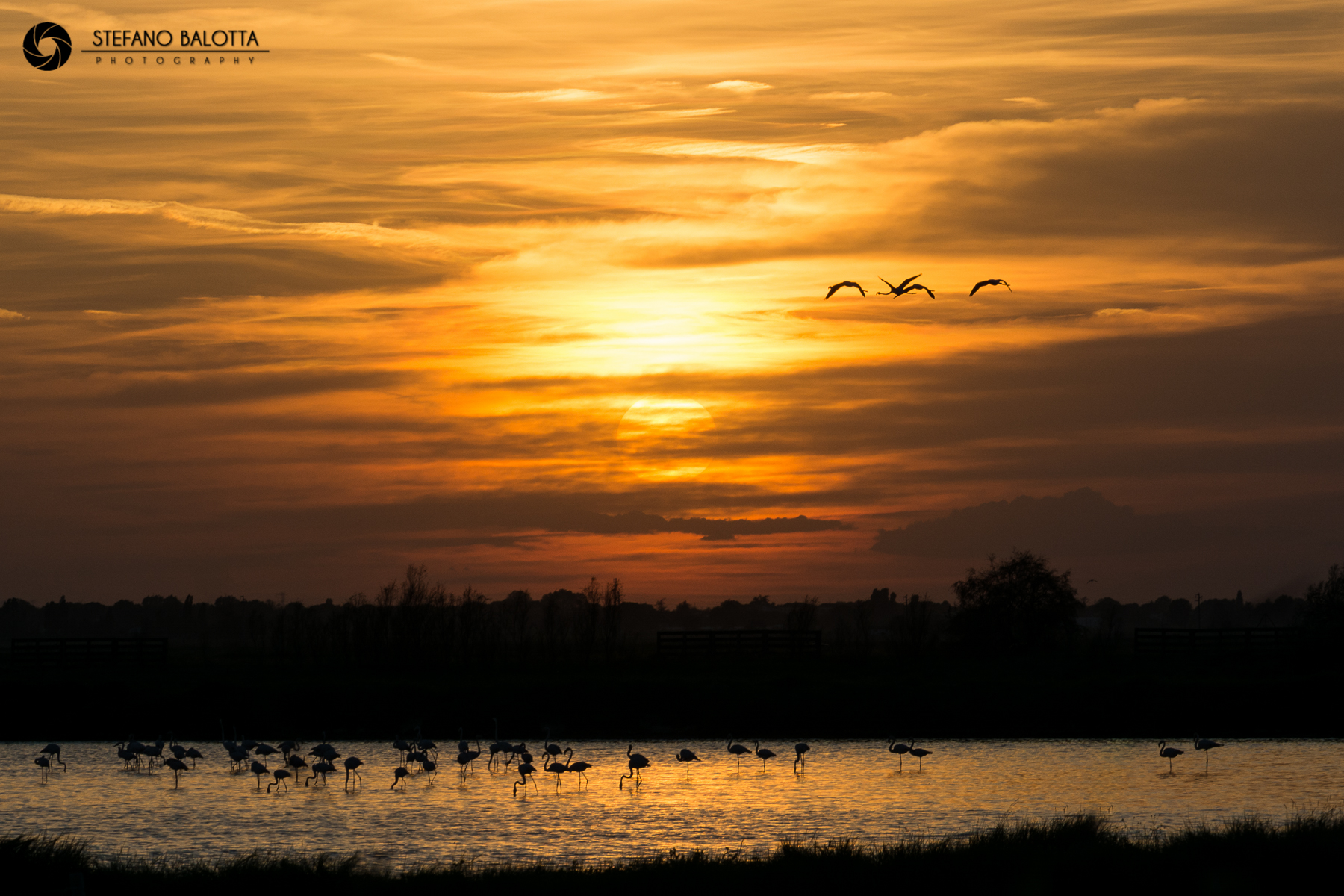 Flying into the sunset
