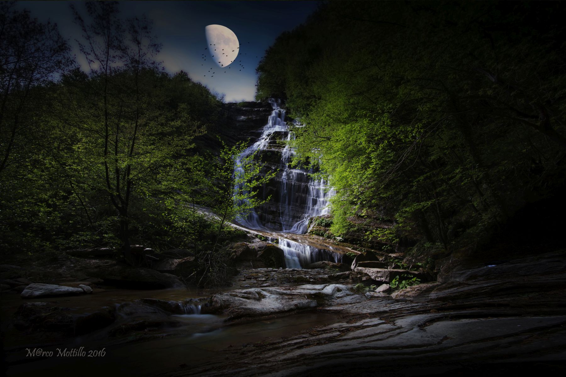 Dancing in the moonlight