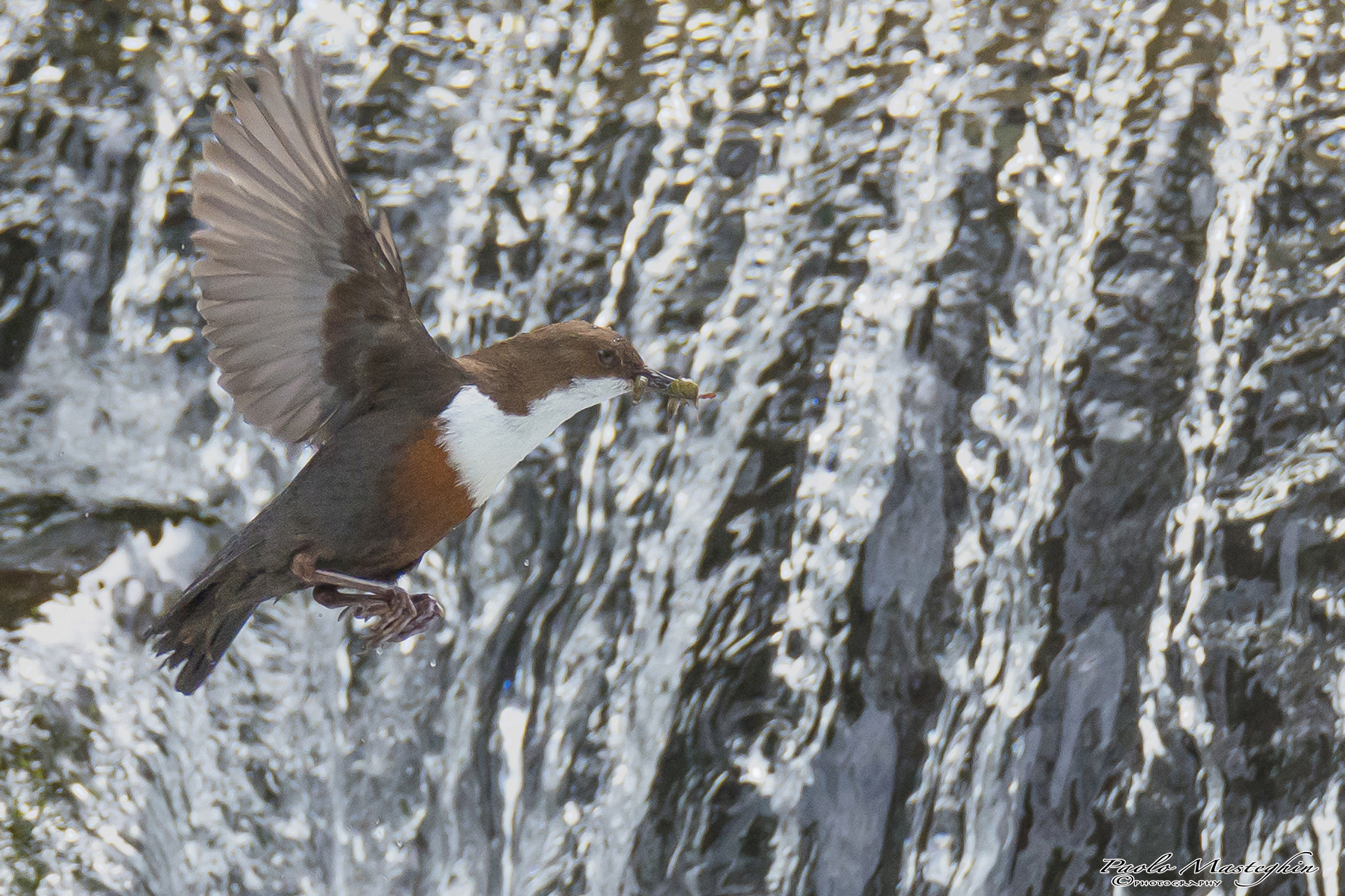 A dive where the water is more blue ...