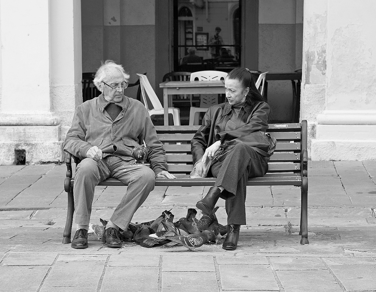 Conversing among pigeons