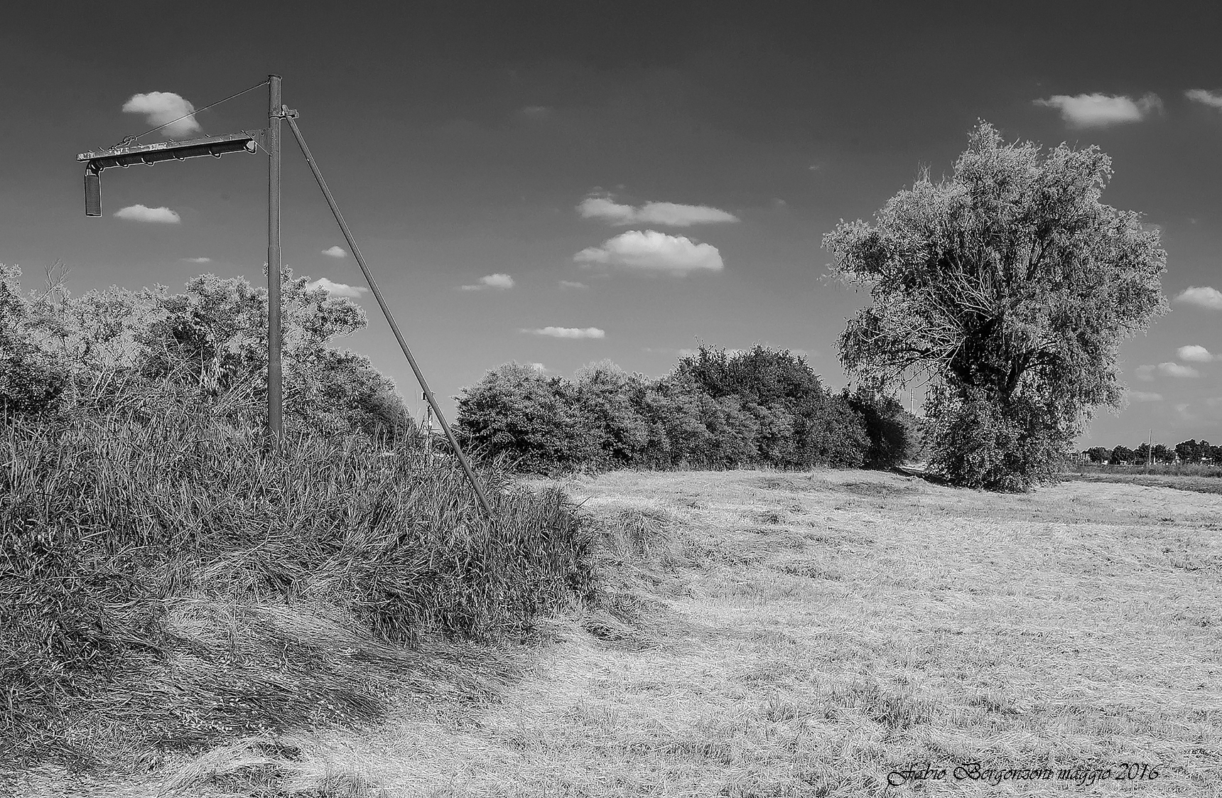 quel treno per la bassa