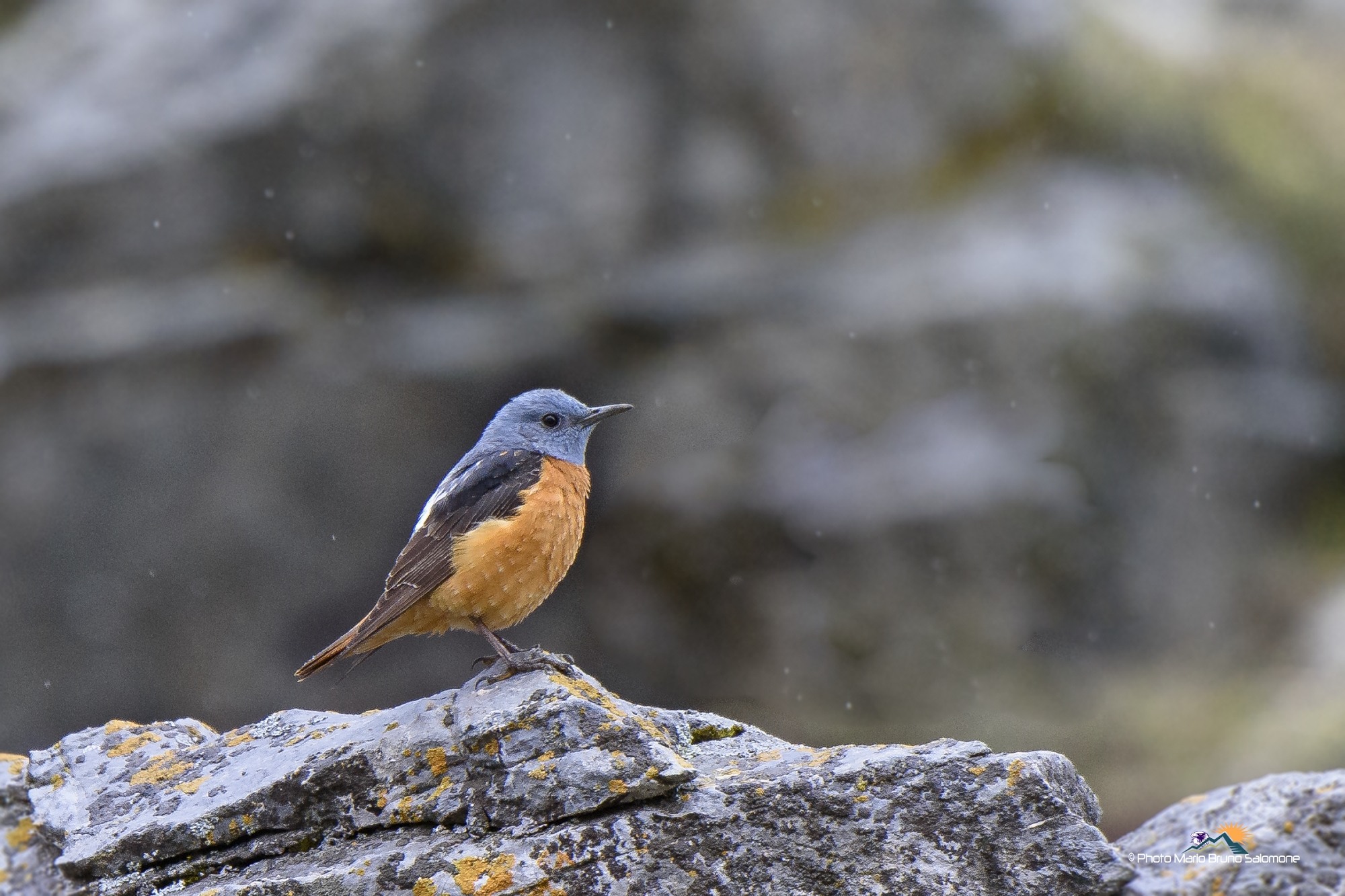 Listening to the falling rain.