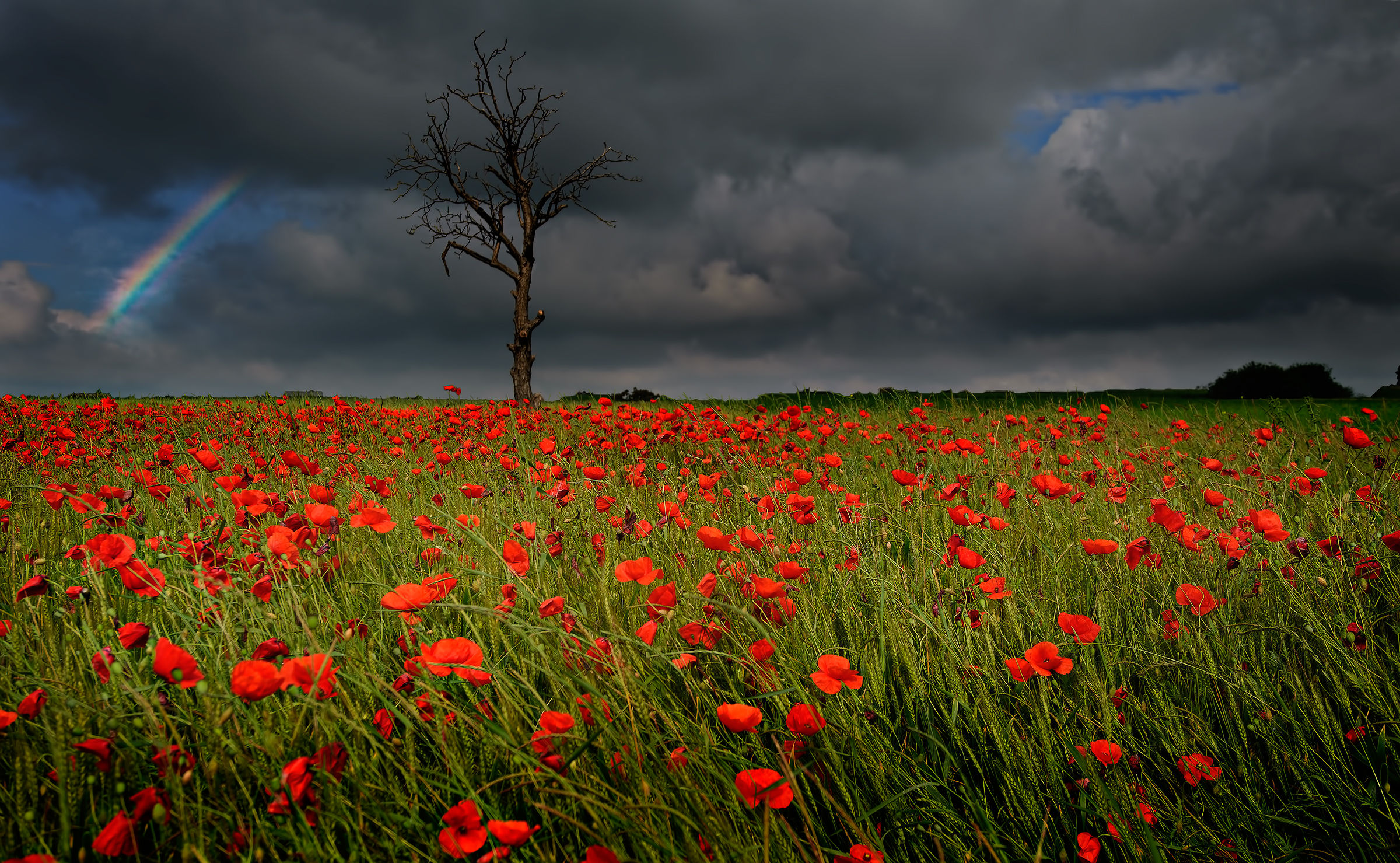 After a spring storm