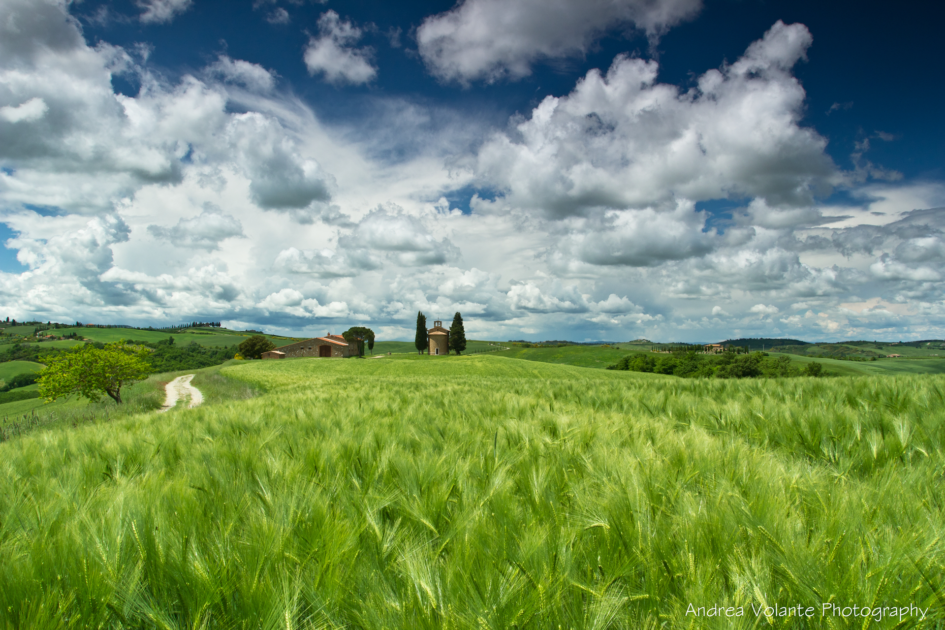 Val d'Orcia ..maggio 2016.