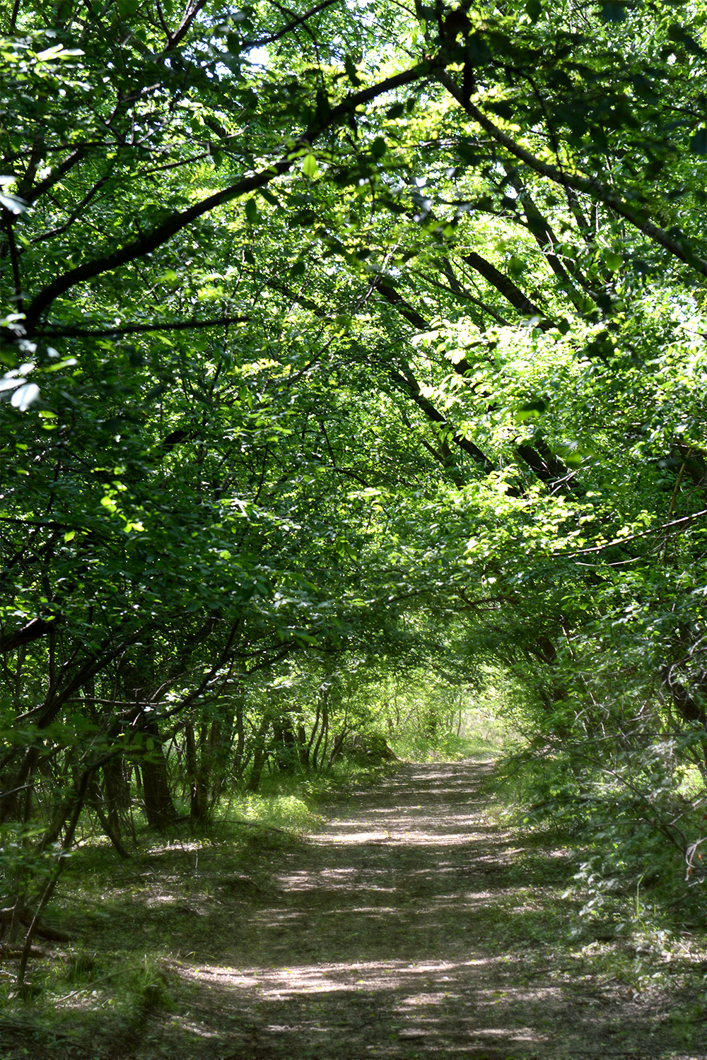 Campo della Promessa