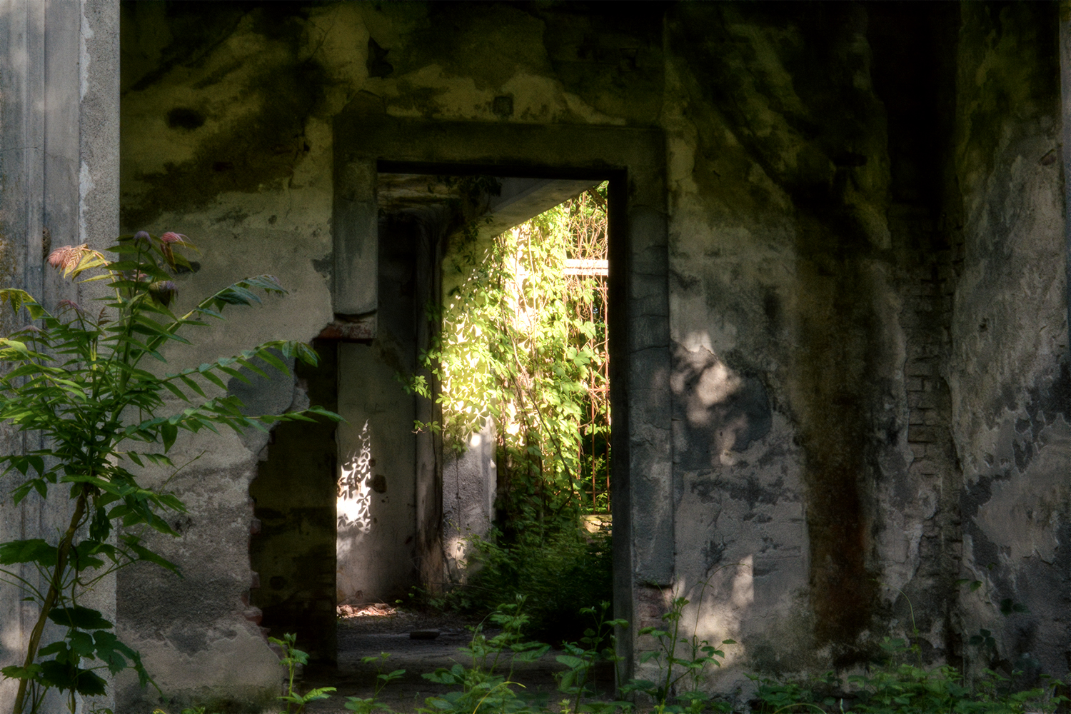 Campo della Promessa