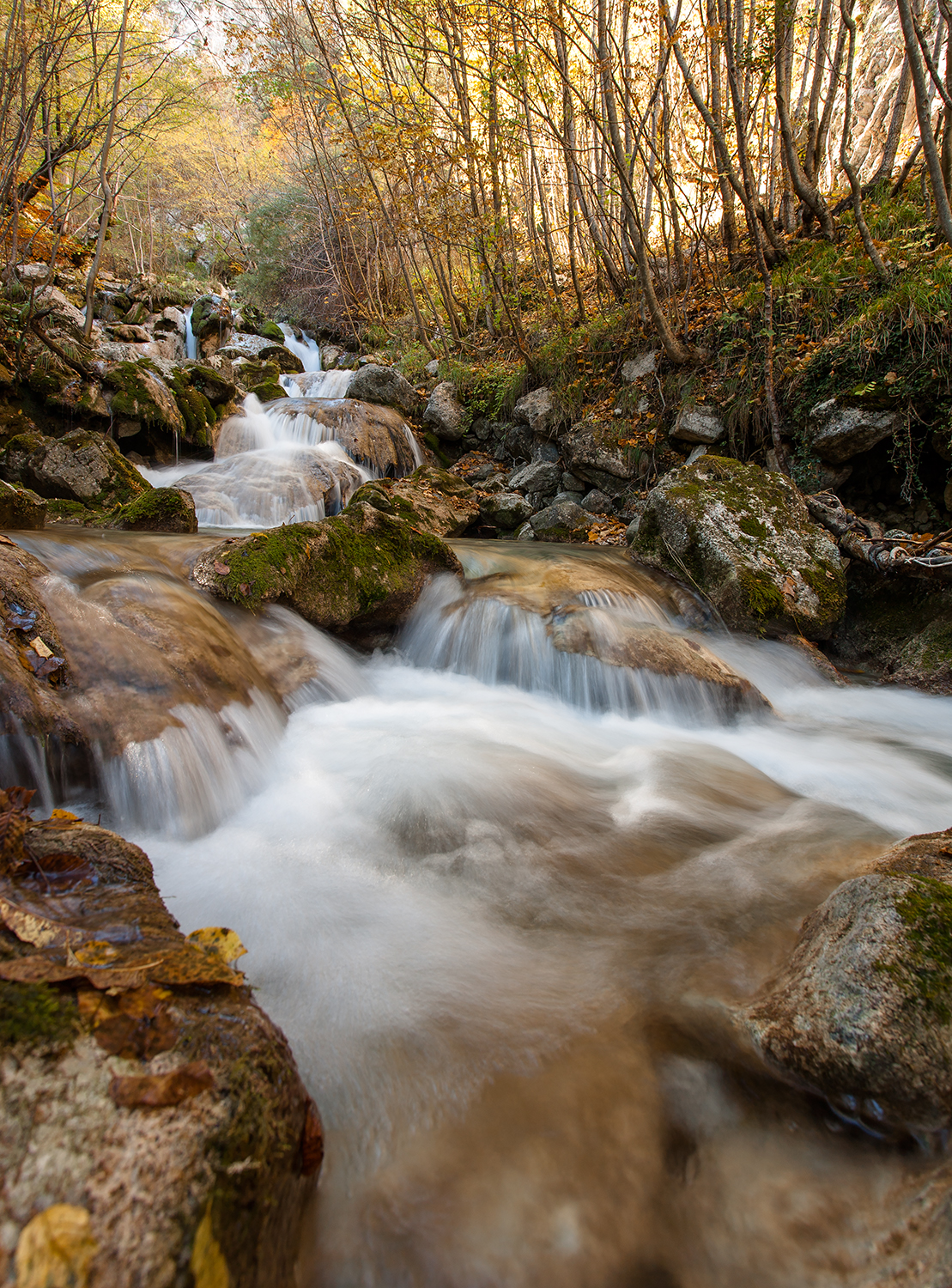 Dove nascono le fiabe