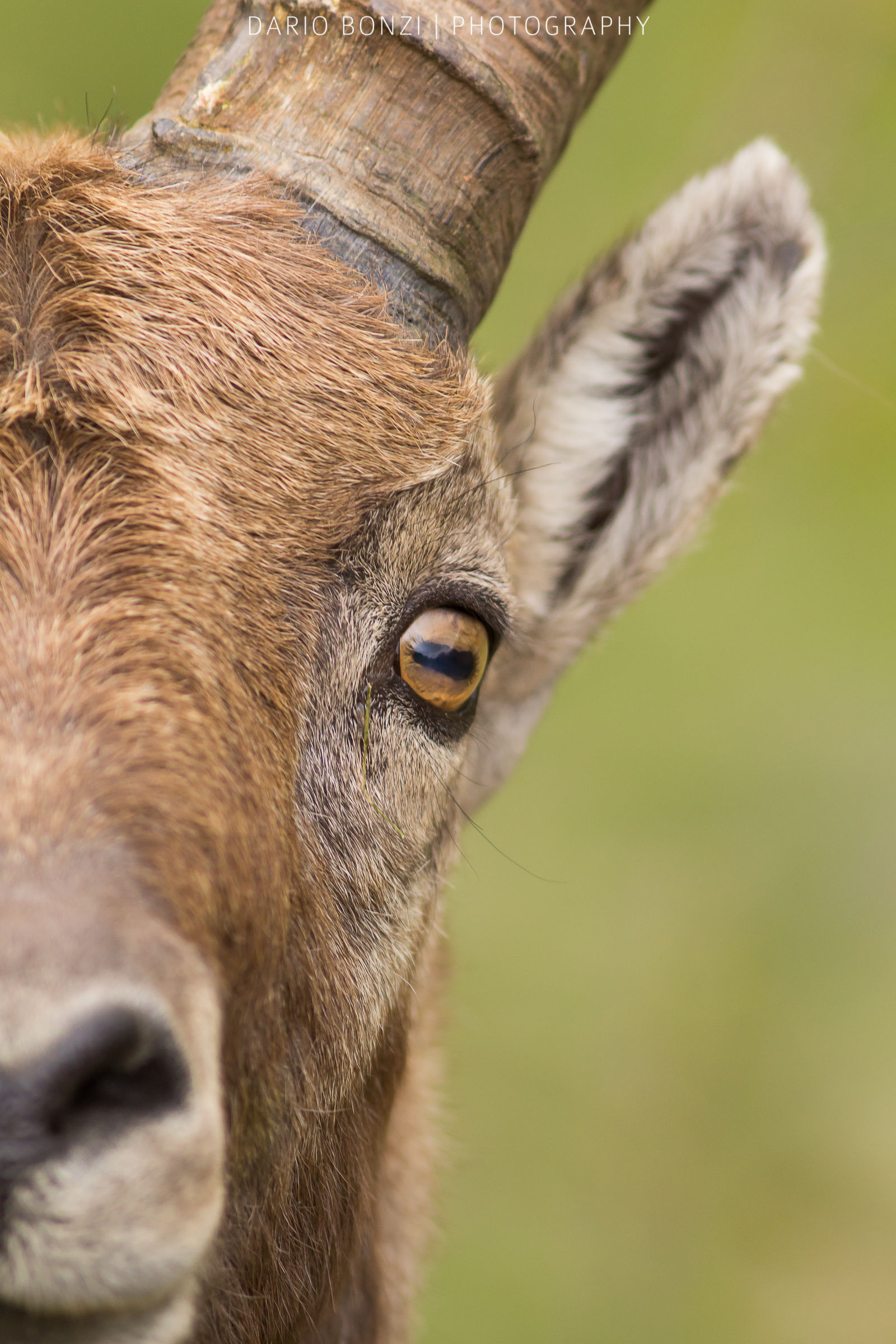 Incontri ravvicinati