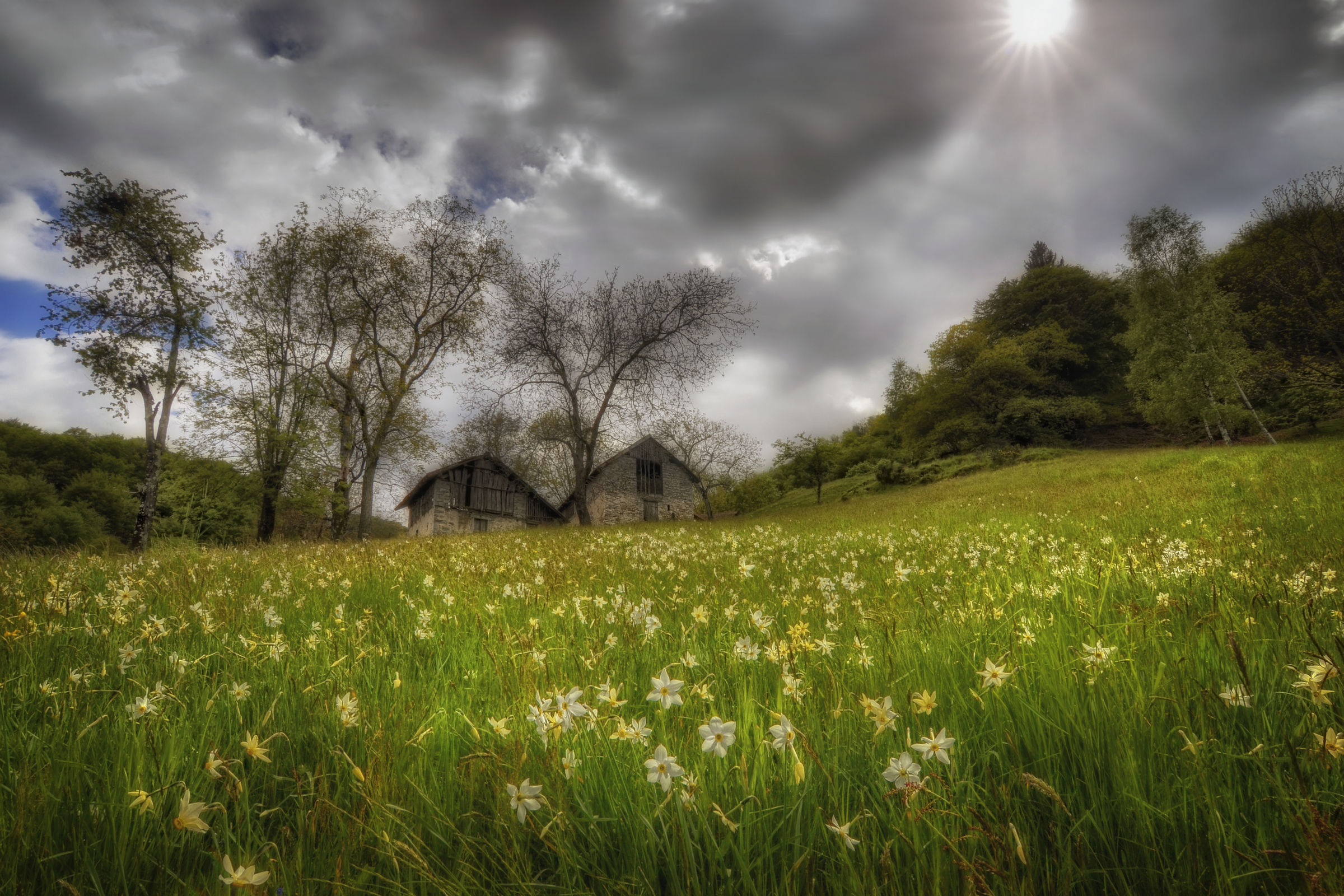 A palette Alpe Salvetti