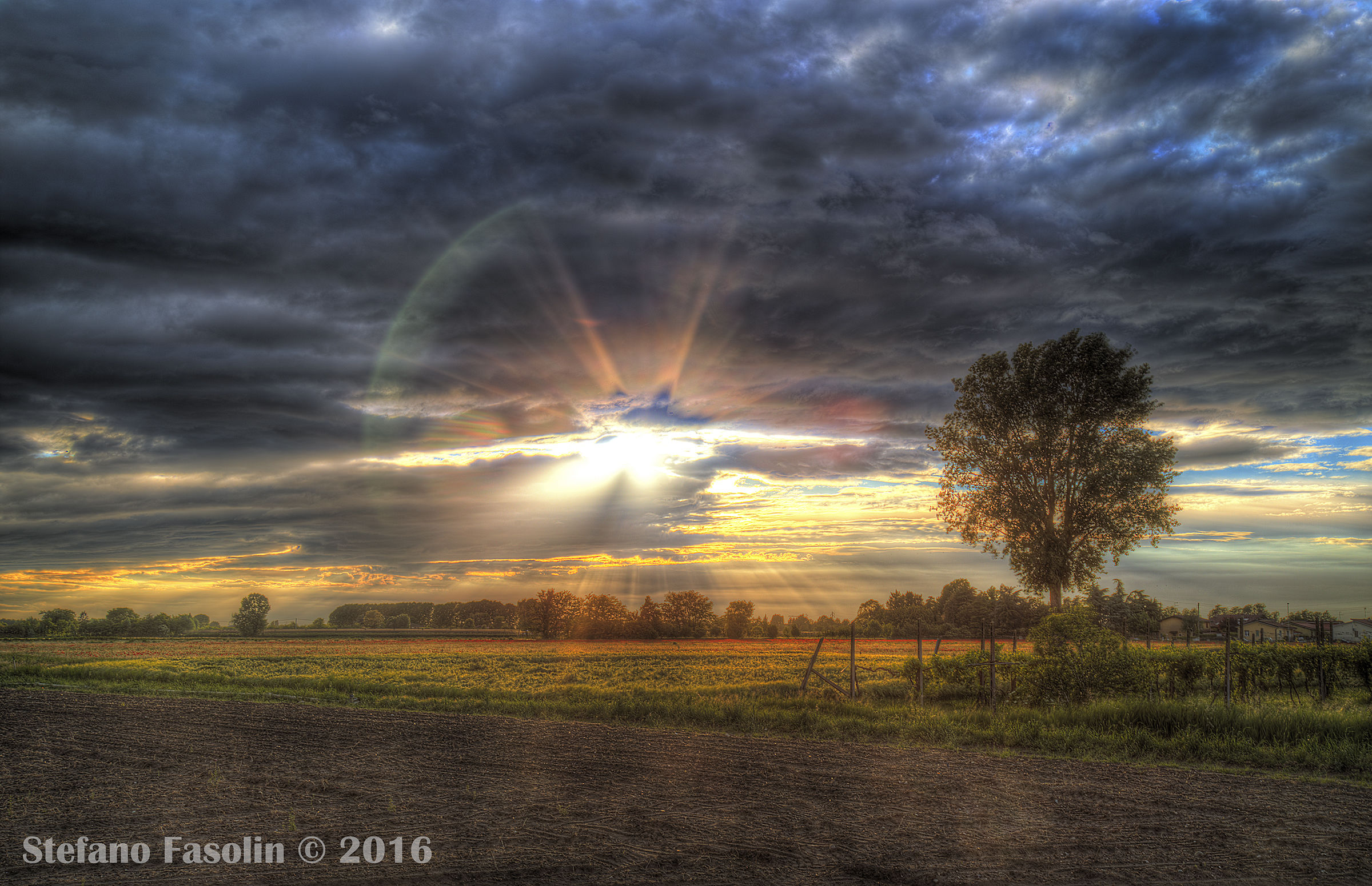 Sunset over wheat fields