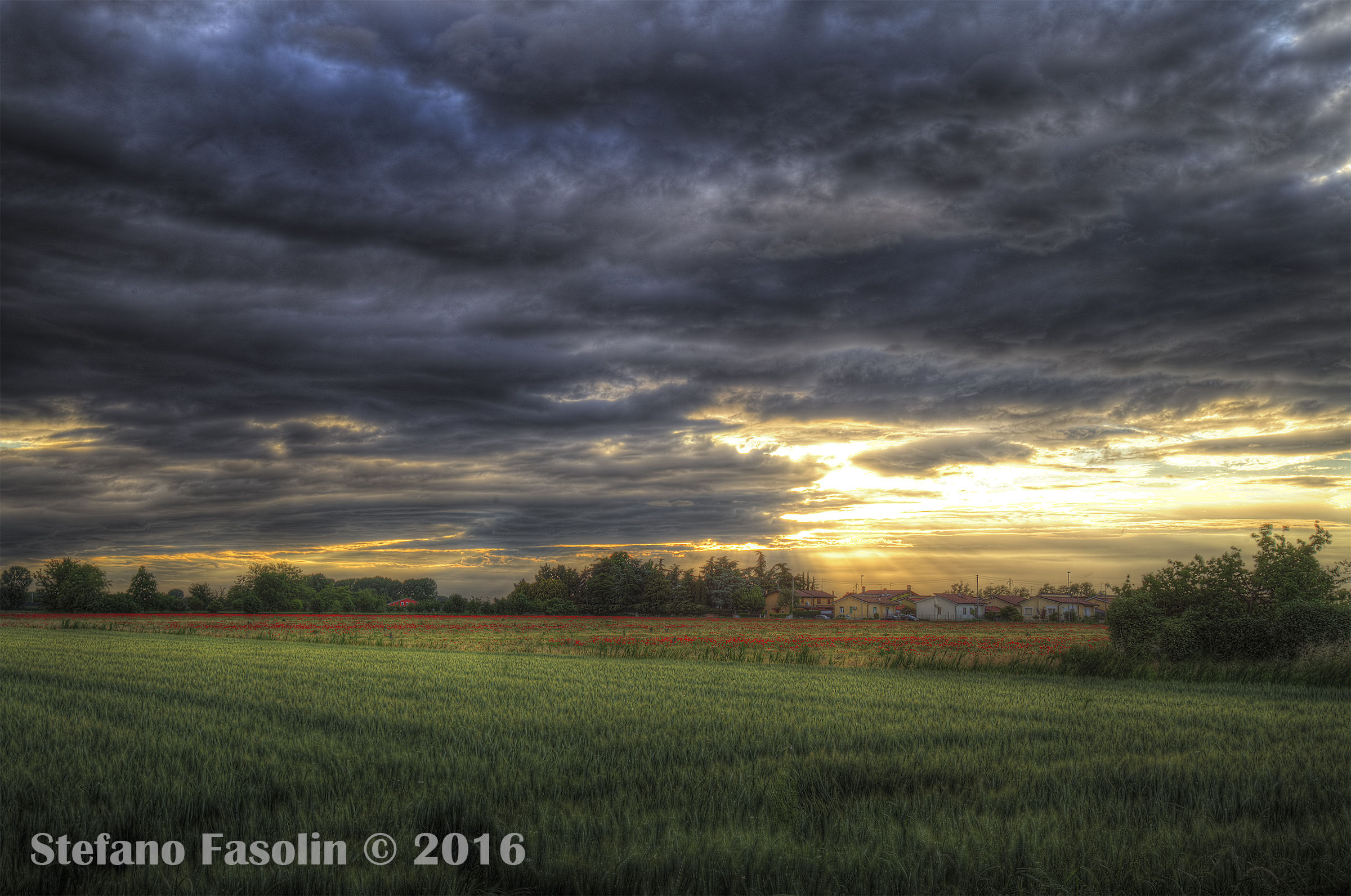 Sunset over wheat fields 2
