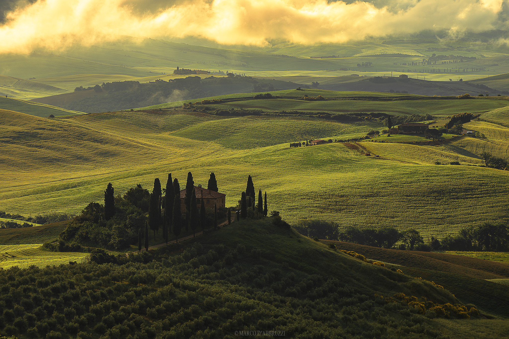 50 sfumature di verde...