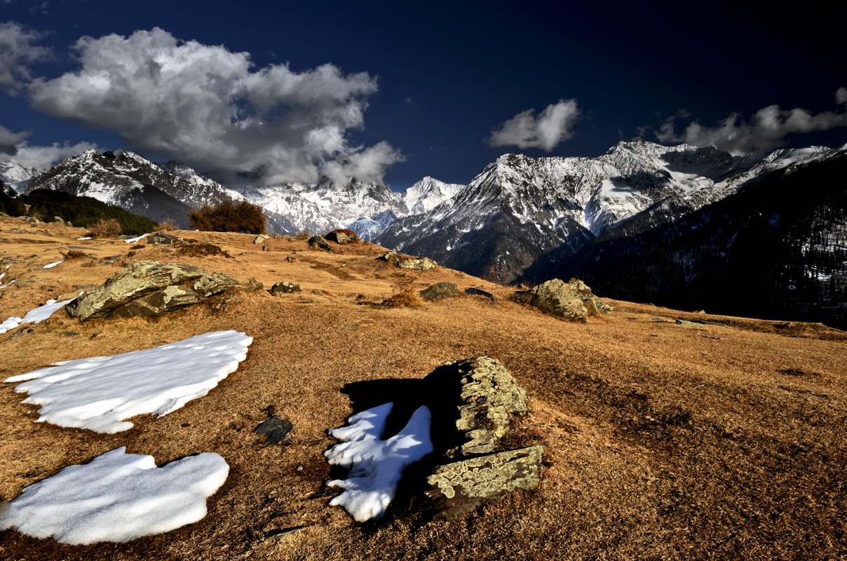 high altitude meadow
