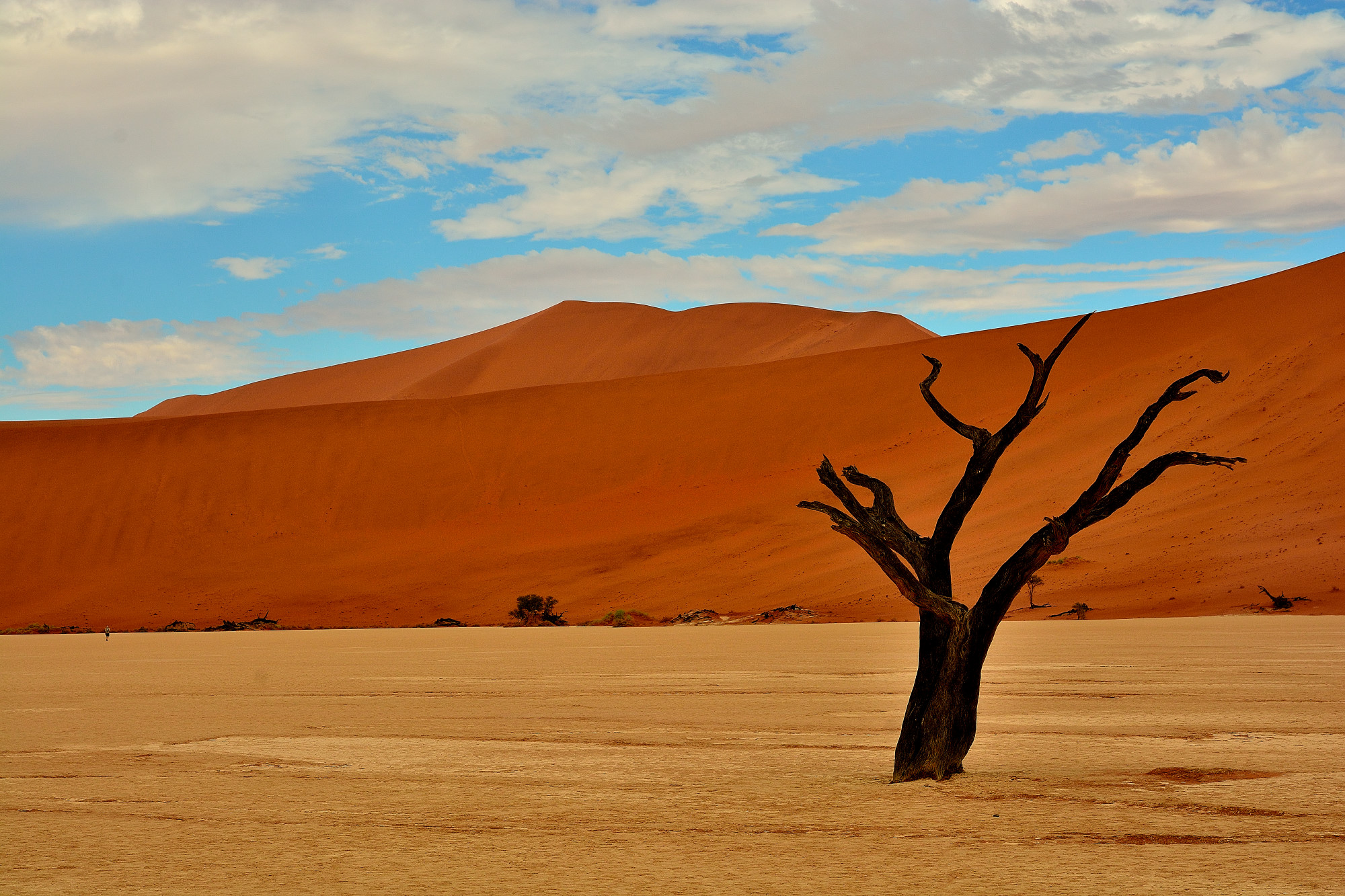 Namibia - Namib Desert - deadvlei