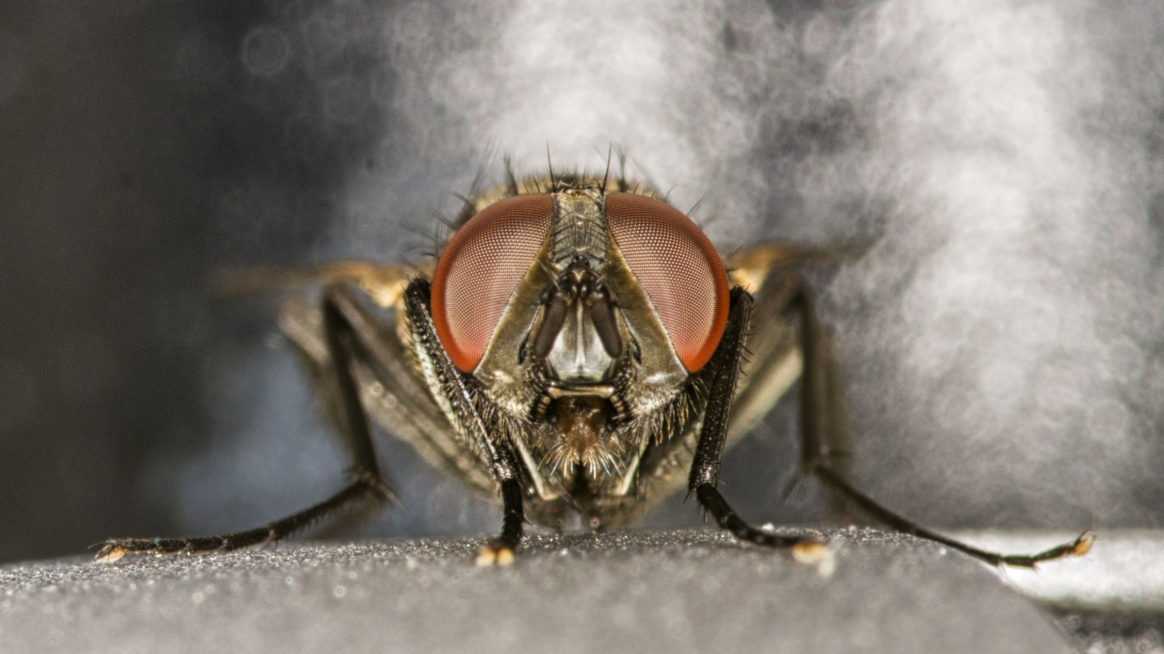 Incontri ravvicinati