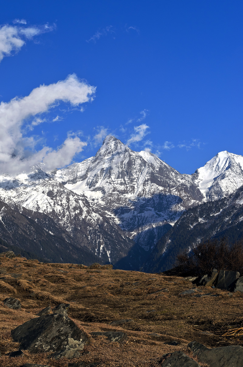 i stand tall and unconquered