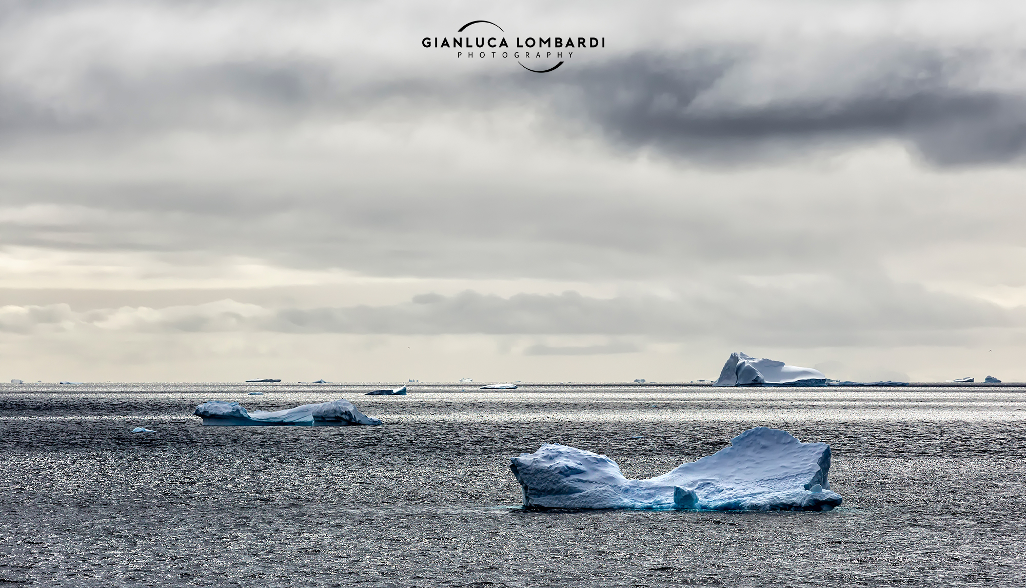 Icebergs in the sea