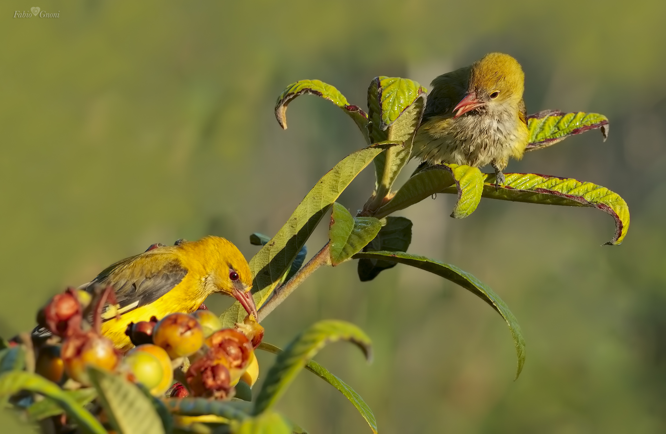 save a little for me !!