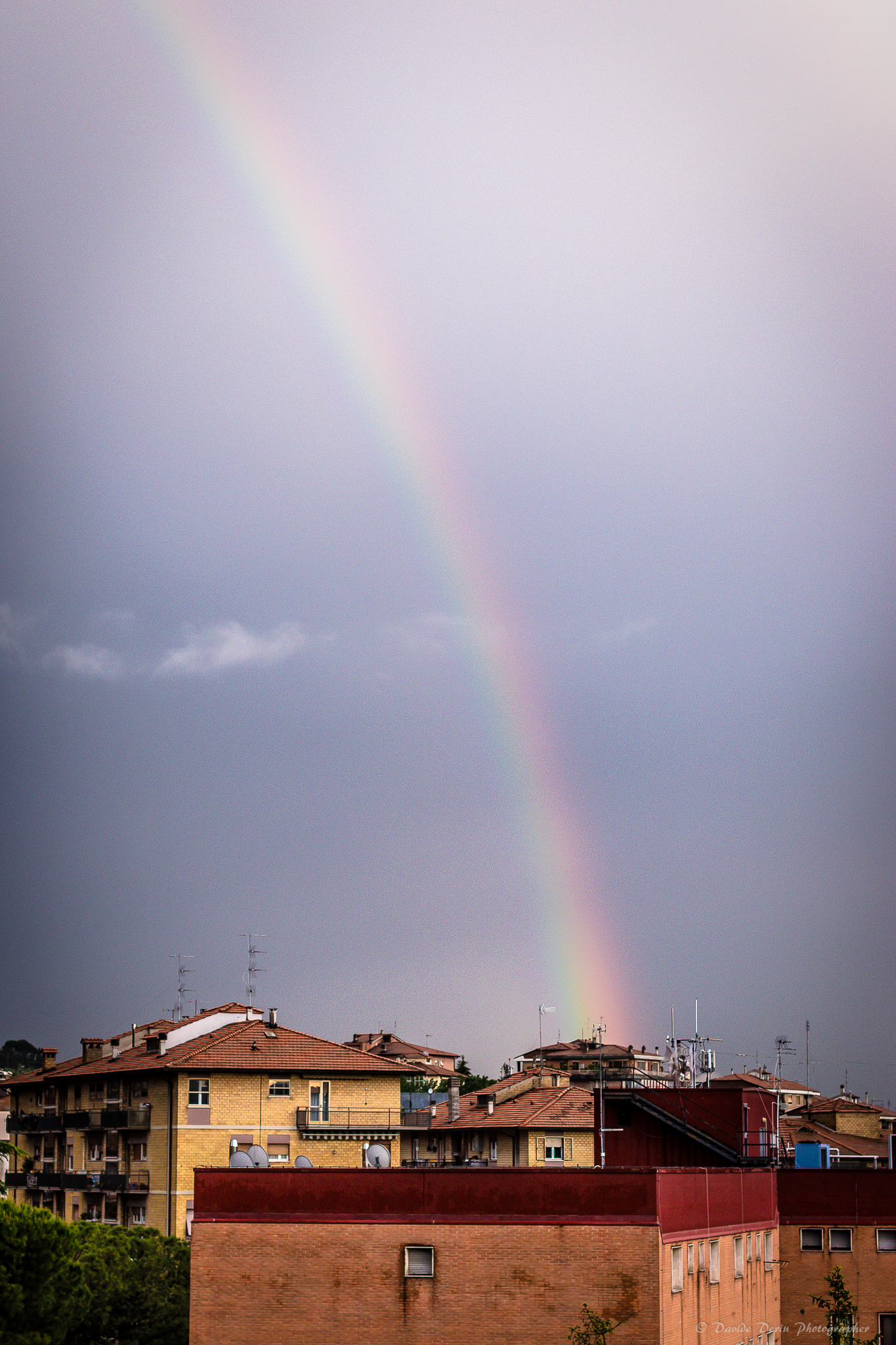 Miracle sull'8ava road