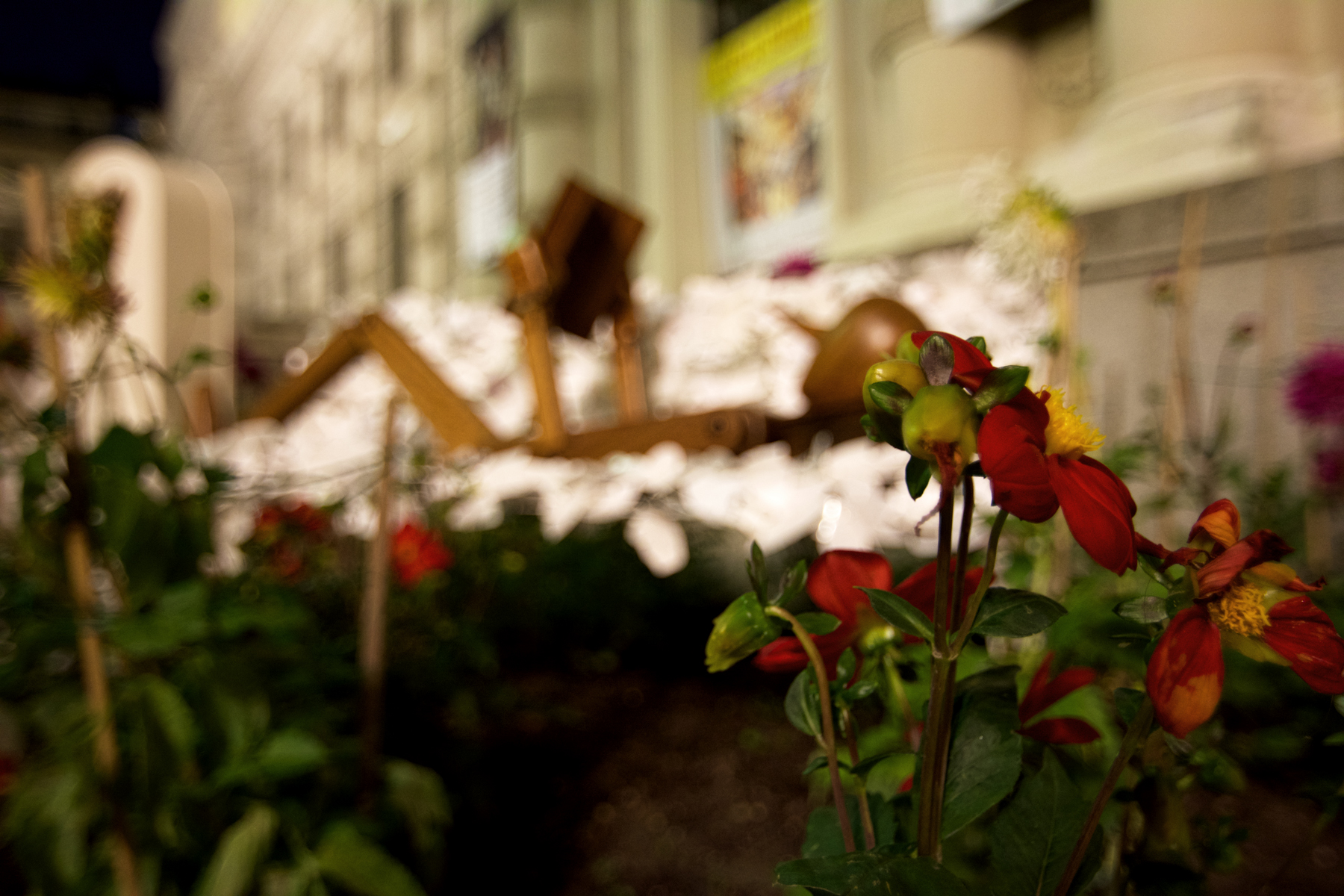 Fate quel che volete, io leggo