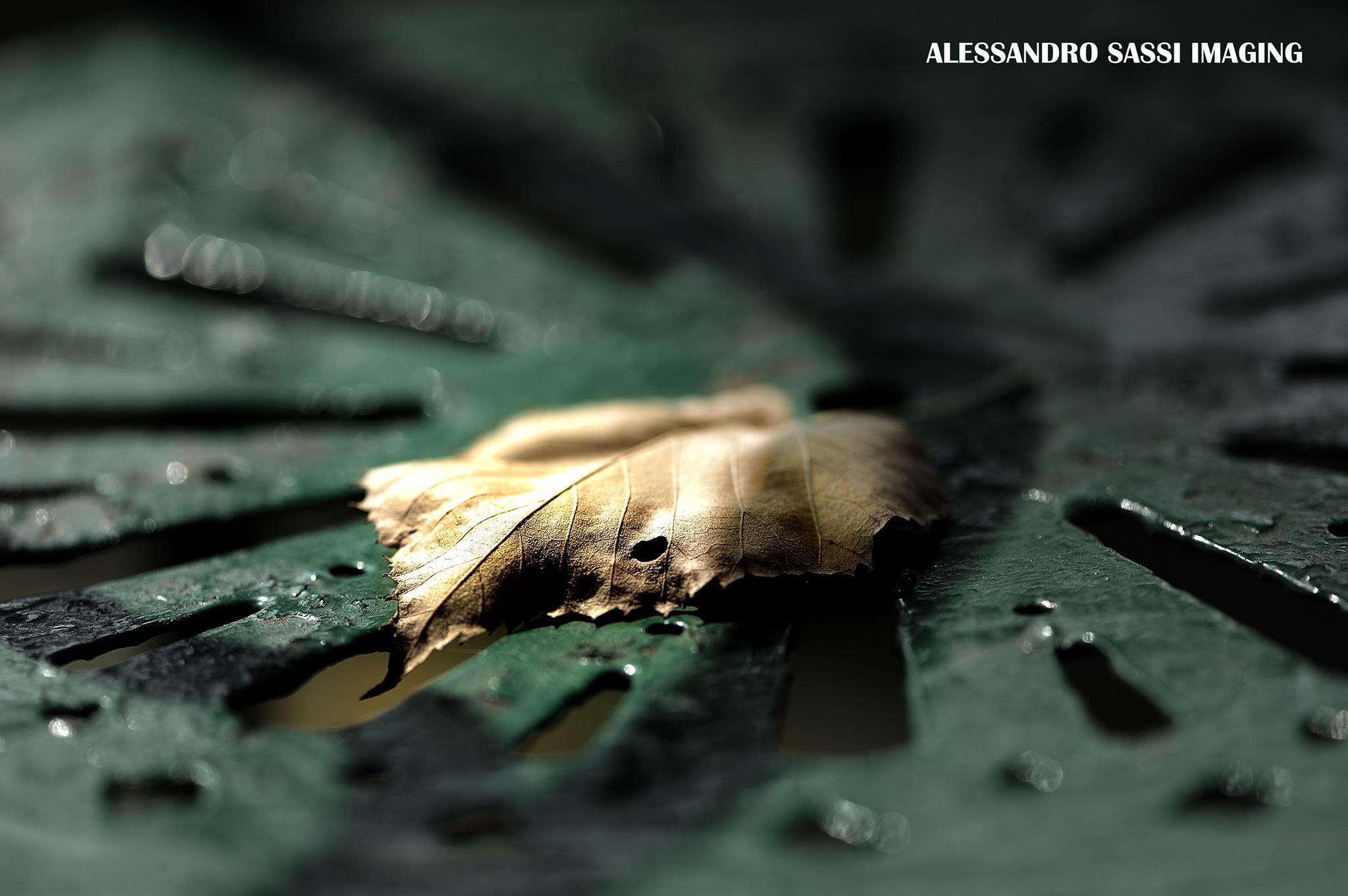 Penombra di fine stagione