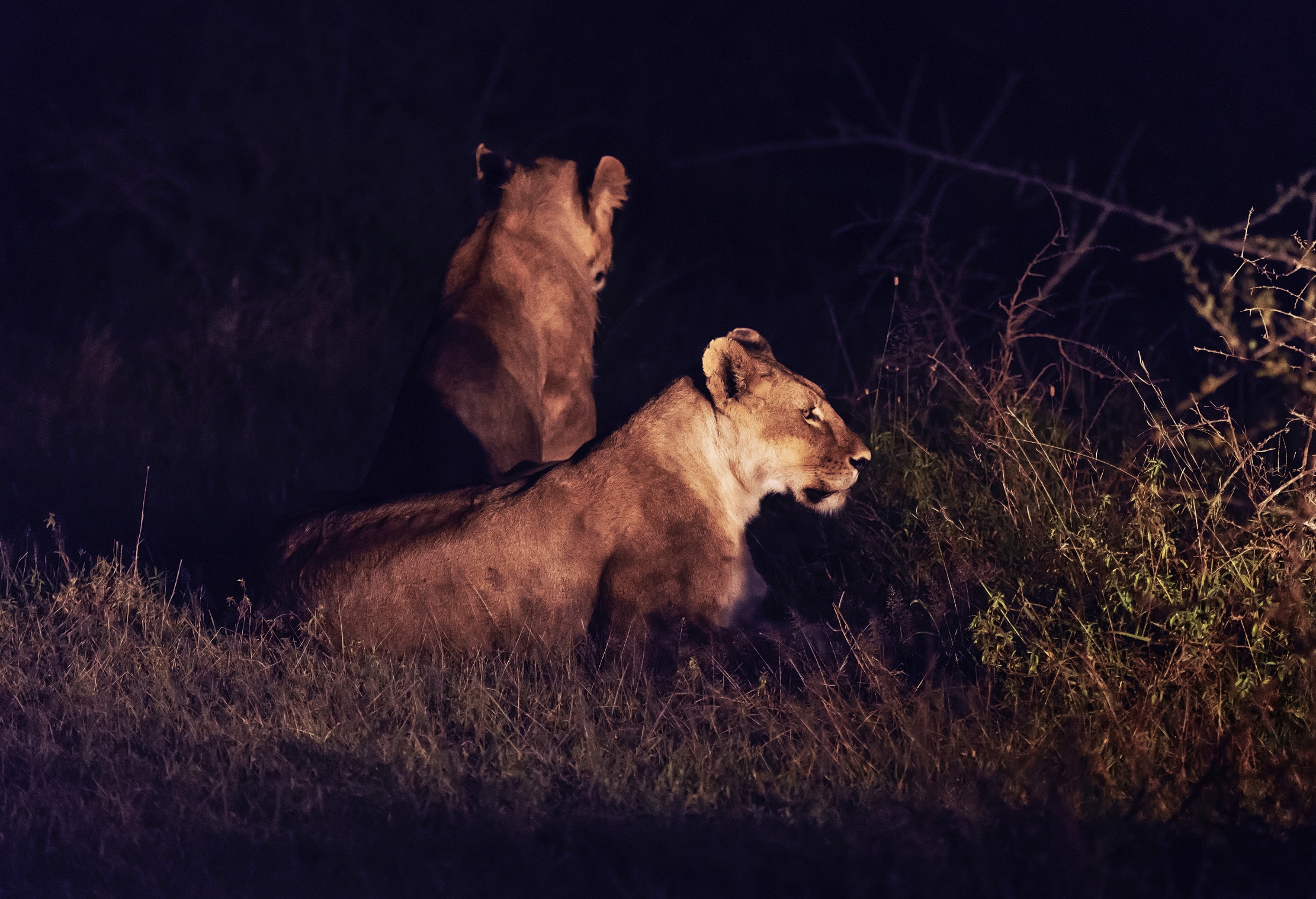 Tanzania 2016 - Nella notte