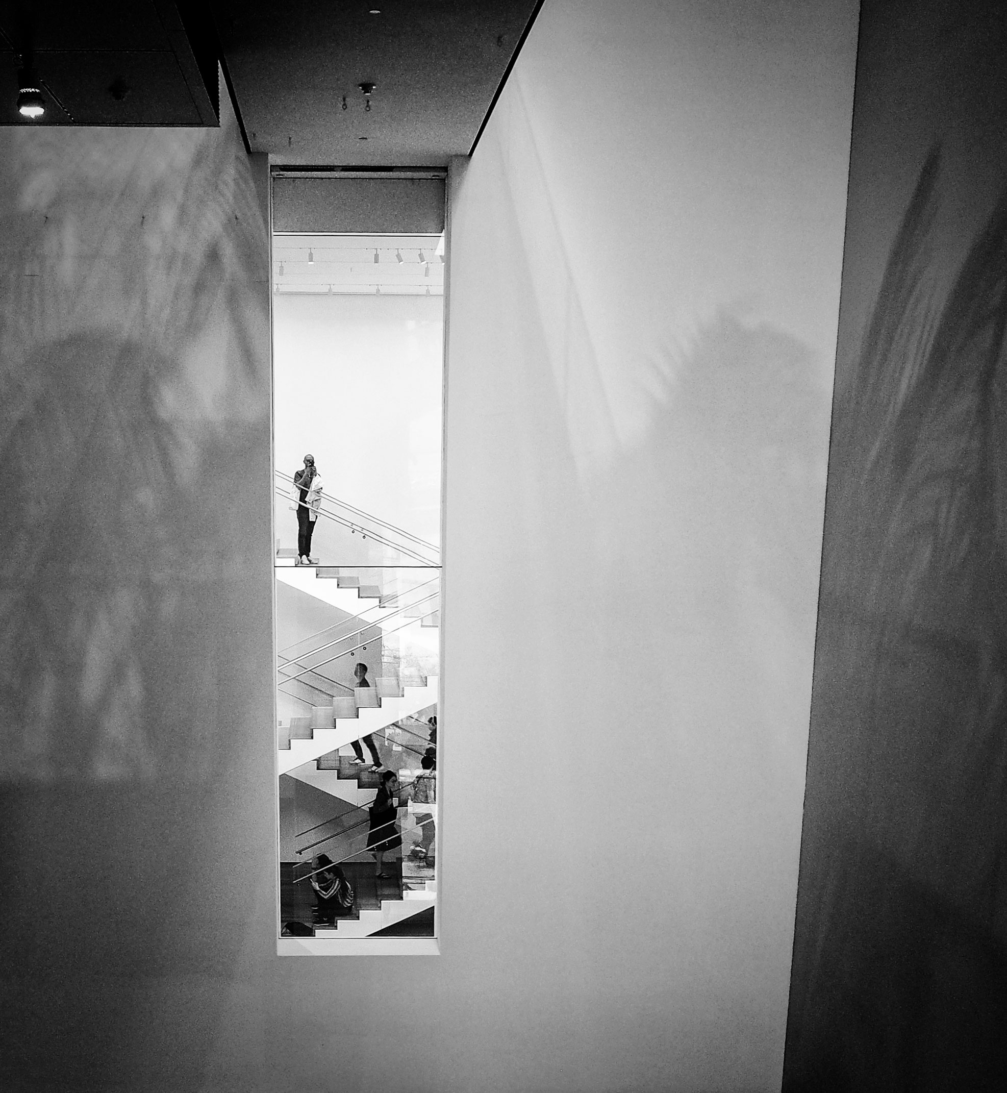 photograph themselves at each other