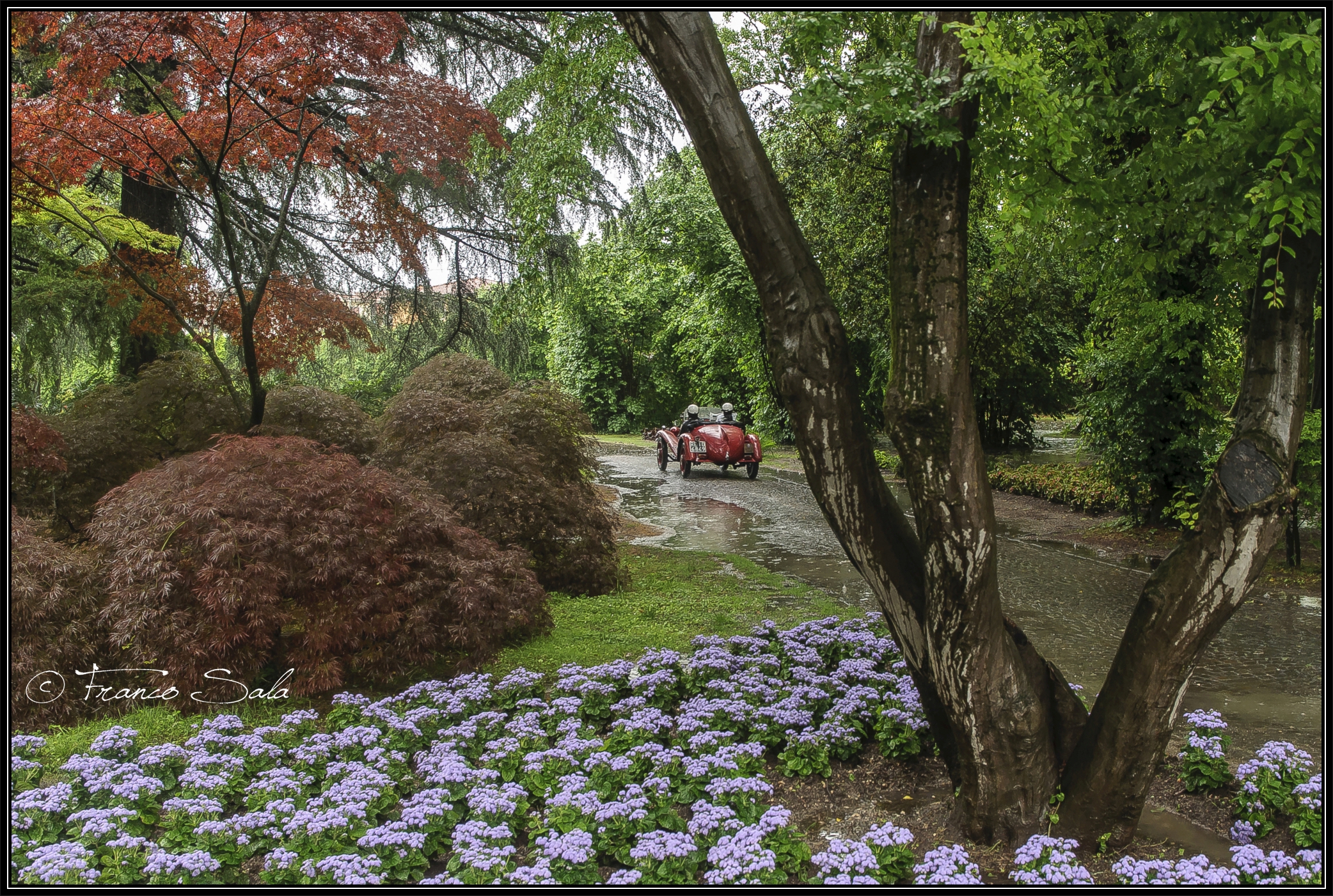 1000 Miglia 2016 - Sigurtà
