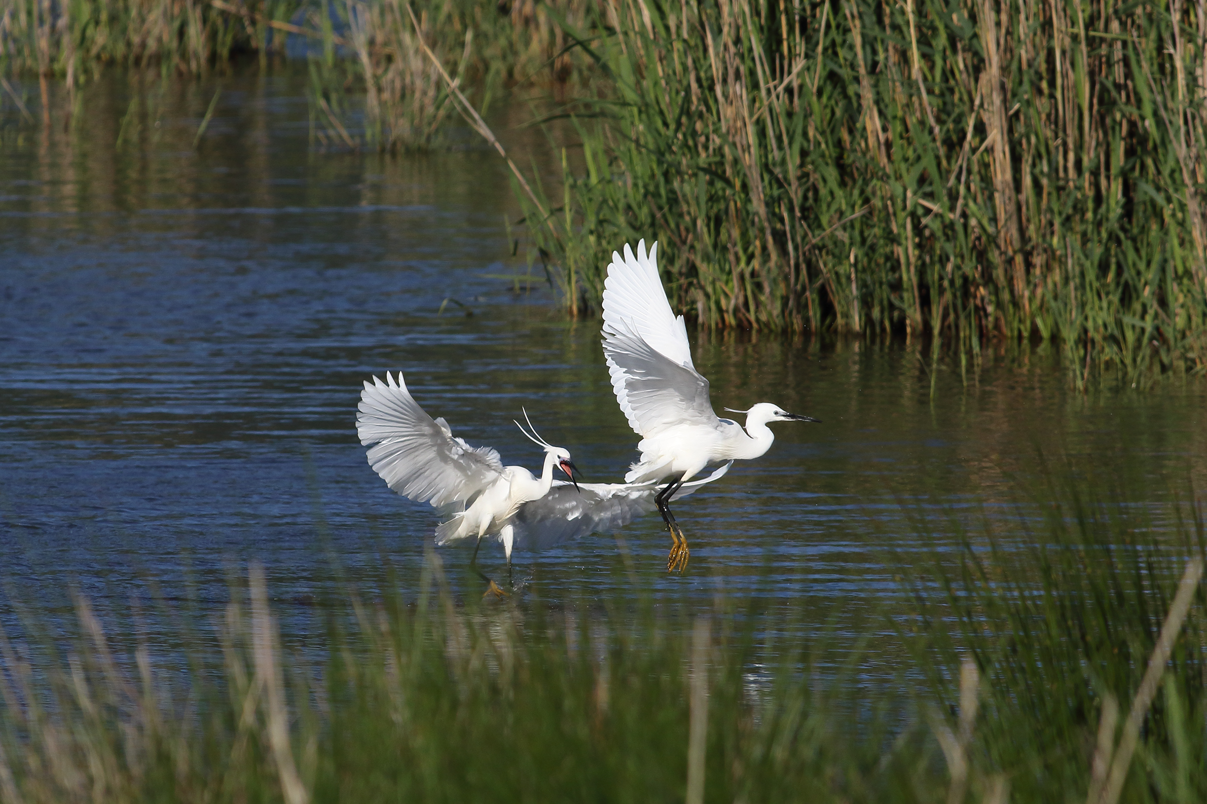 Go away from HERE !!!!!!!!