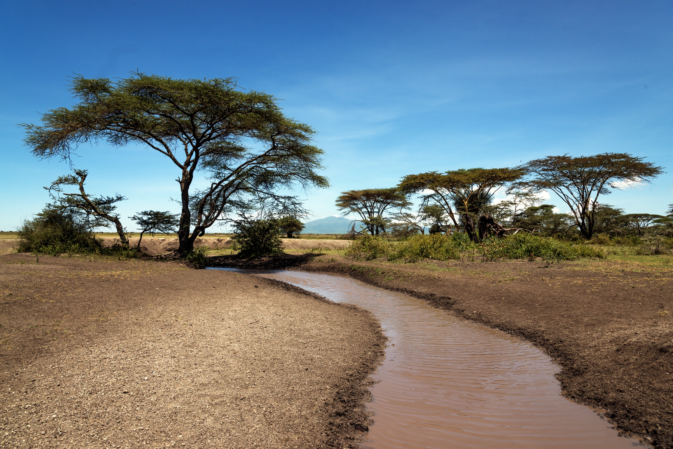 Tanzania 2016 - Serengeti