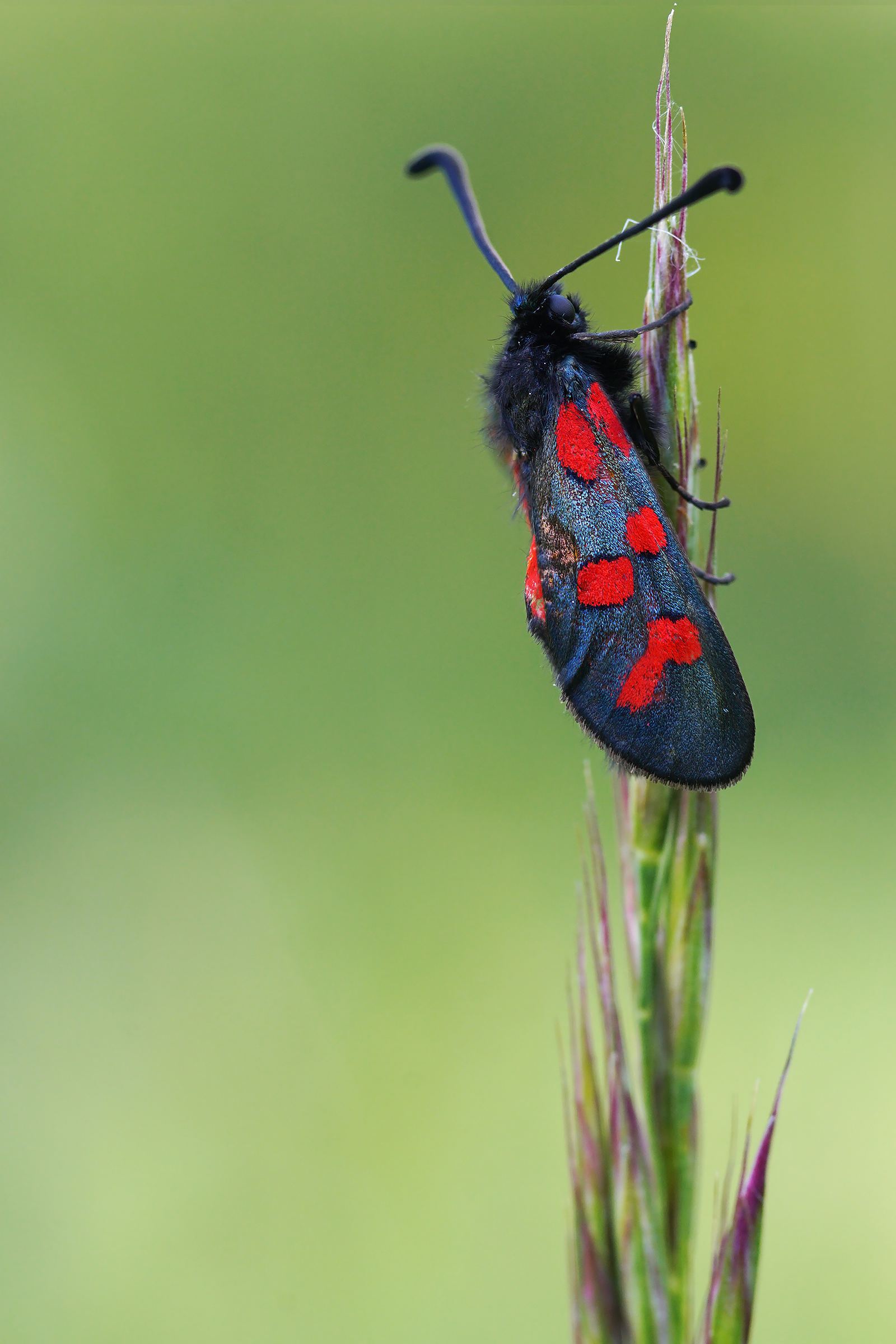 Pronti per la colazione