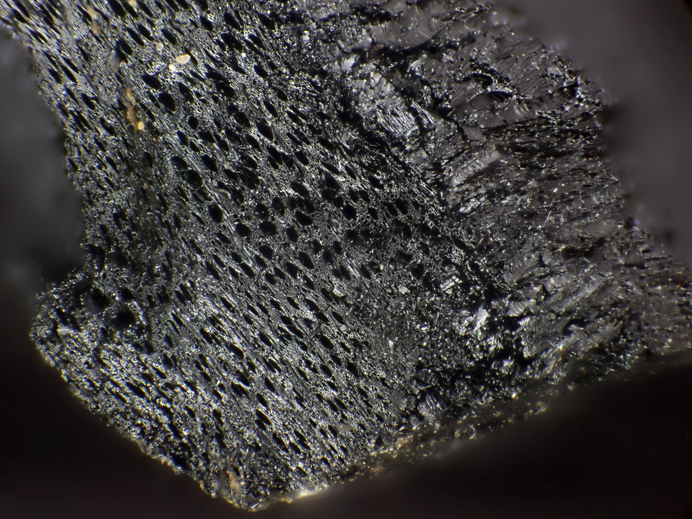 Wood charcoal, the inner part