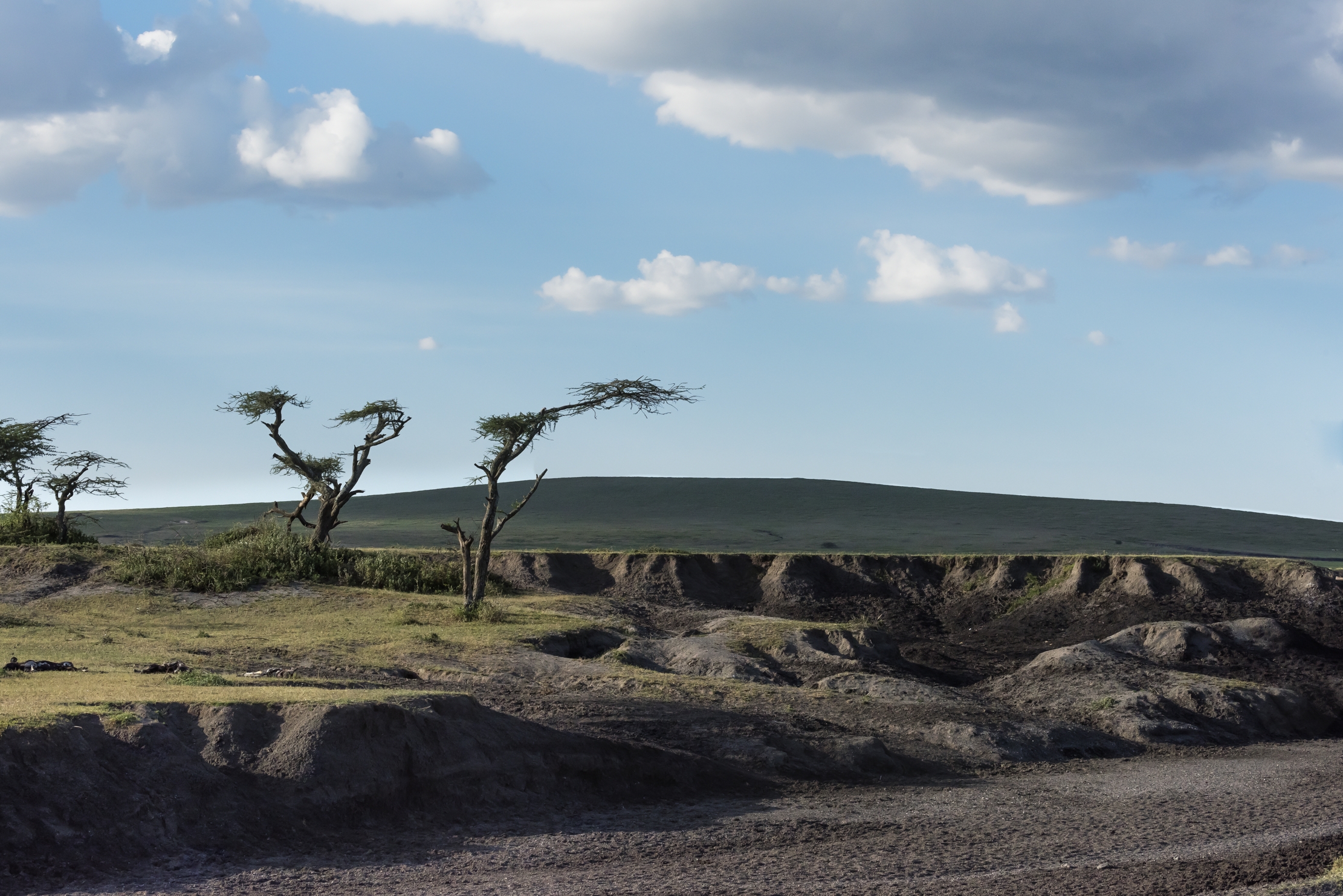 Tanzania 2016 - Ngorongoro Conservation area