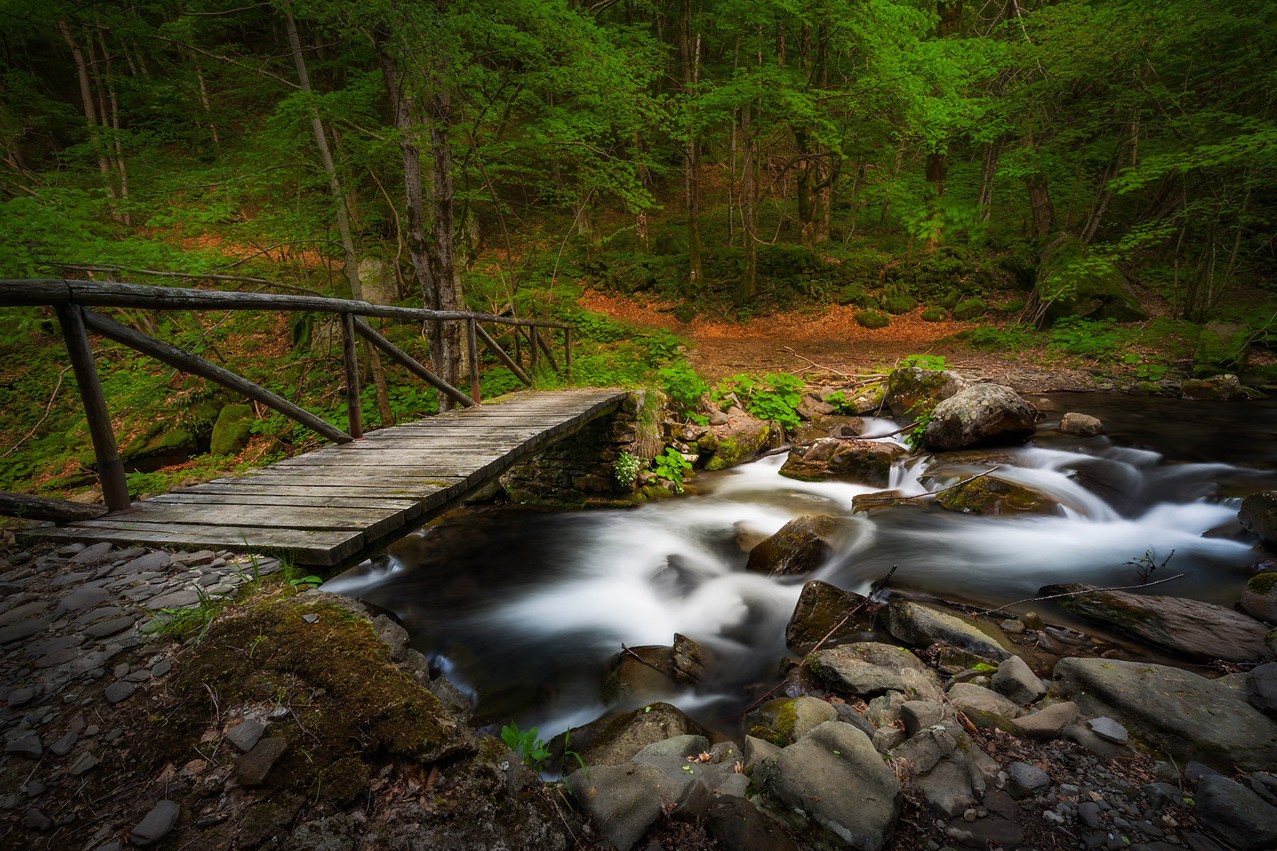 Il ponticello della mia fantasia