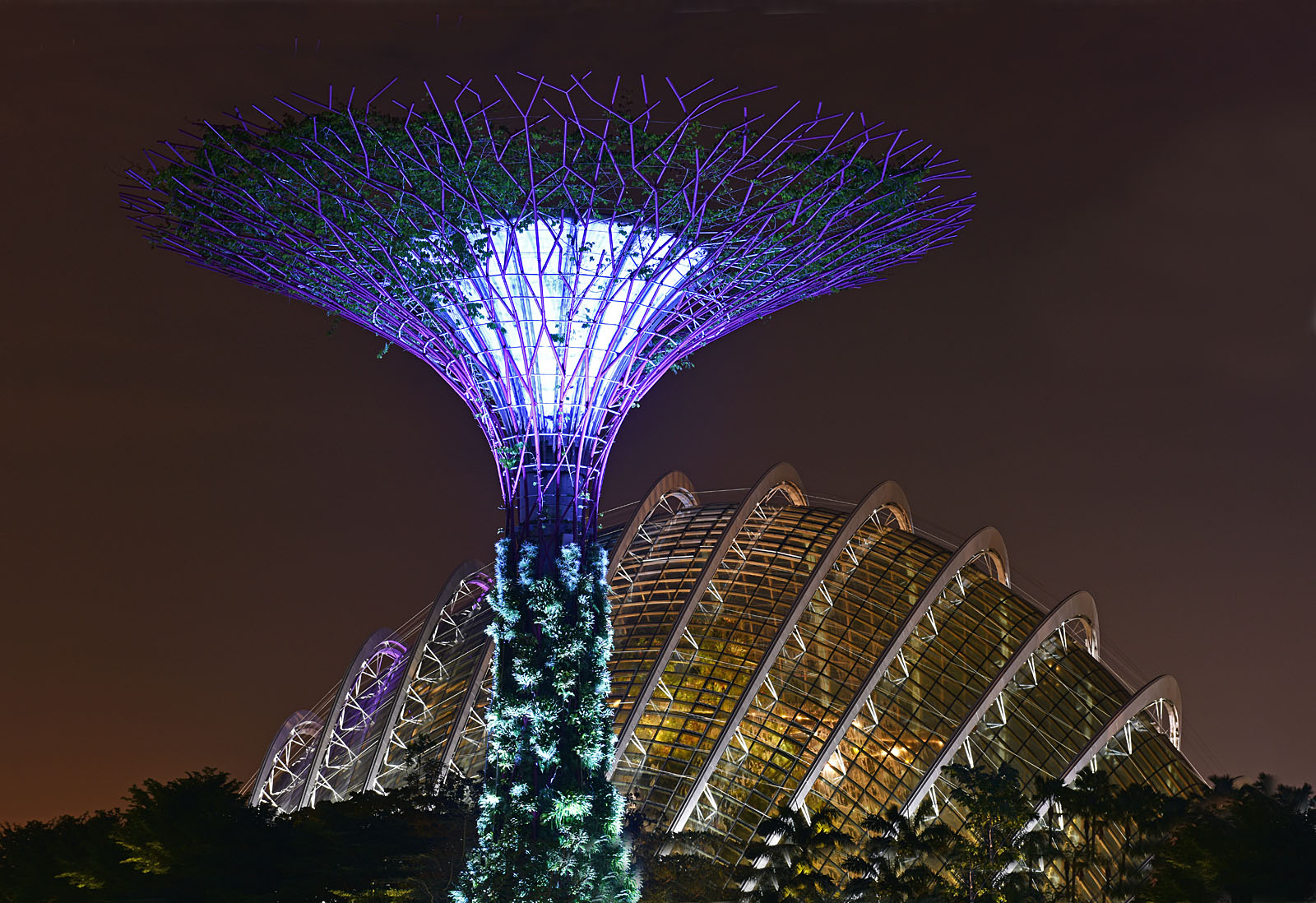 Singapore Cloud Forest Marina Bay