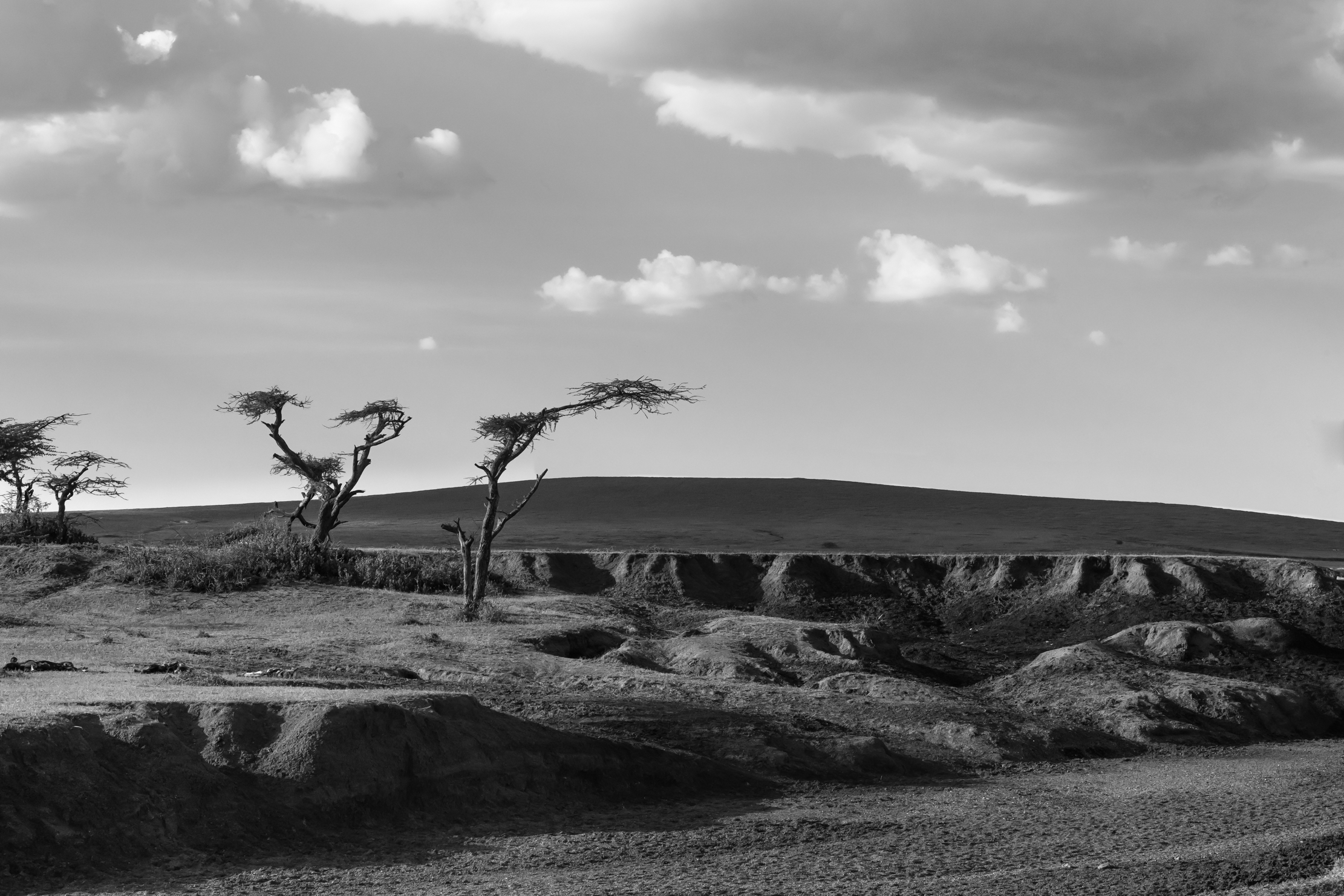 Tanzania 2016 - Ngorongoro Conservation area