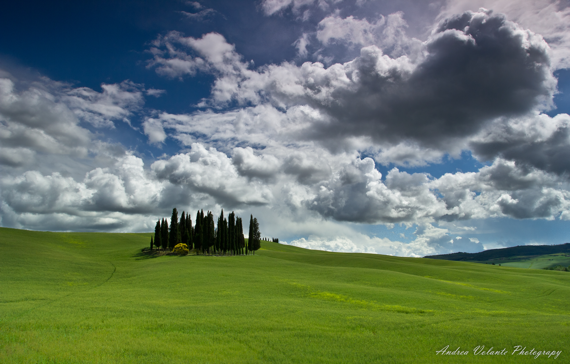 Val d'Orcia ..natural elements