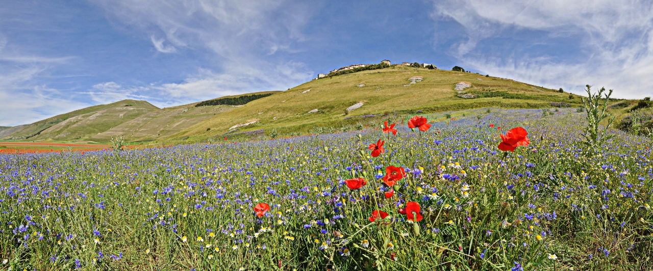 Castelluccio