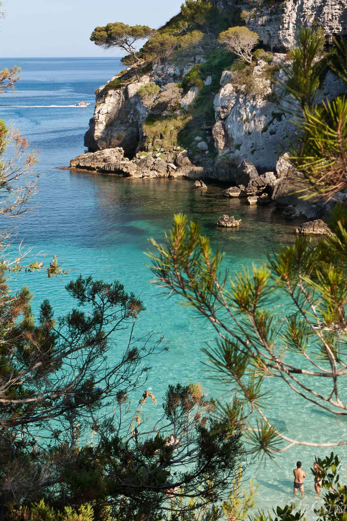 Se non sai cosa osservare ....