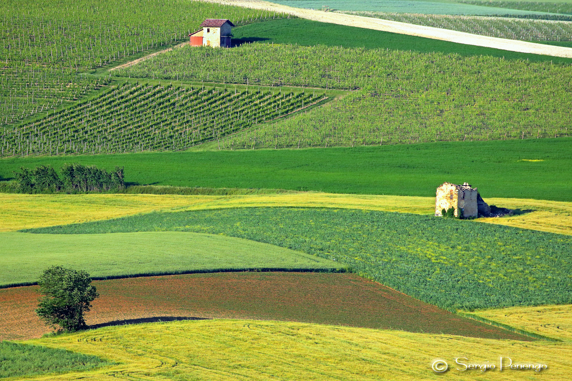 "A little 'MONFERRATO"