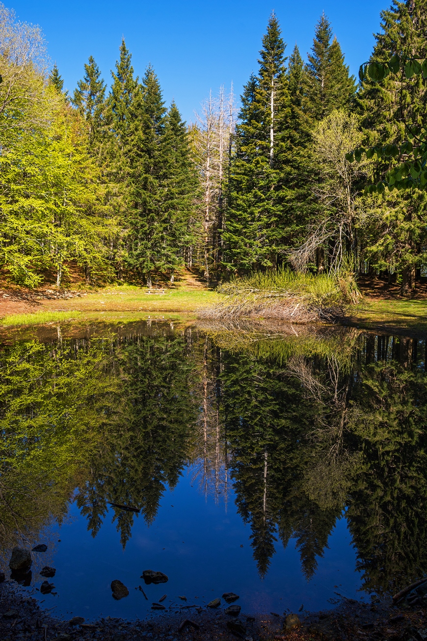 Lake Asperelle and its reflections