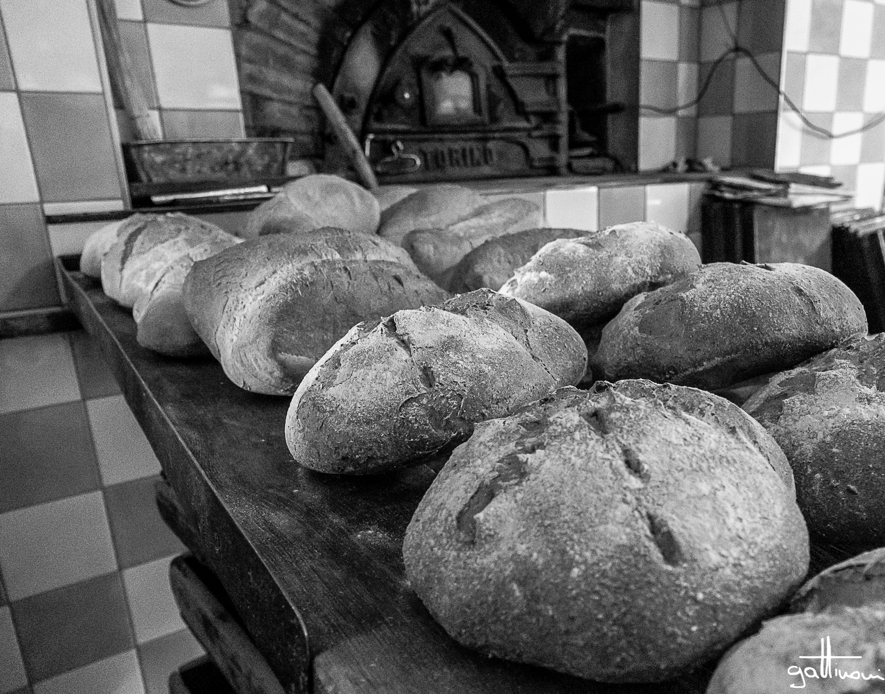 il pane quotidiano_appena sfornato