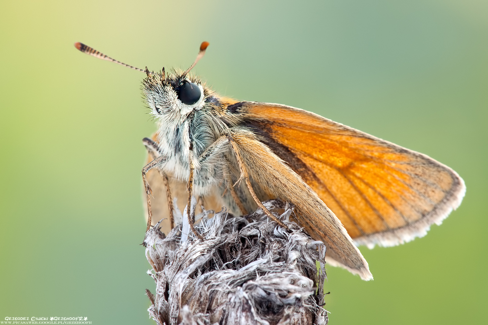 Just before take off