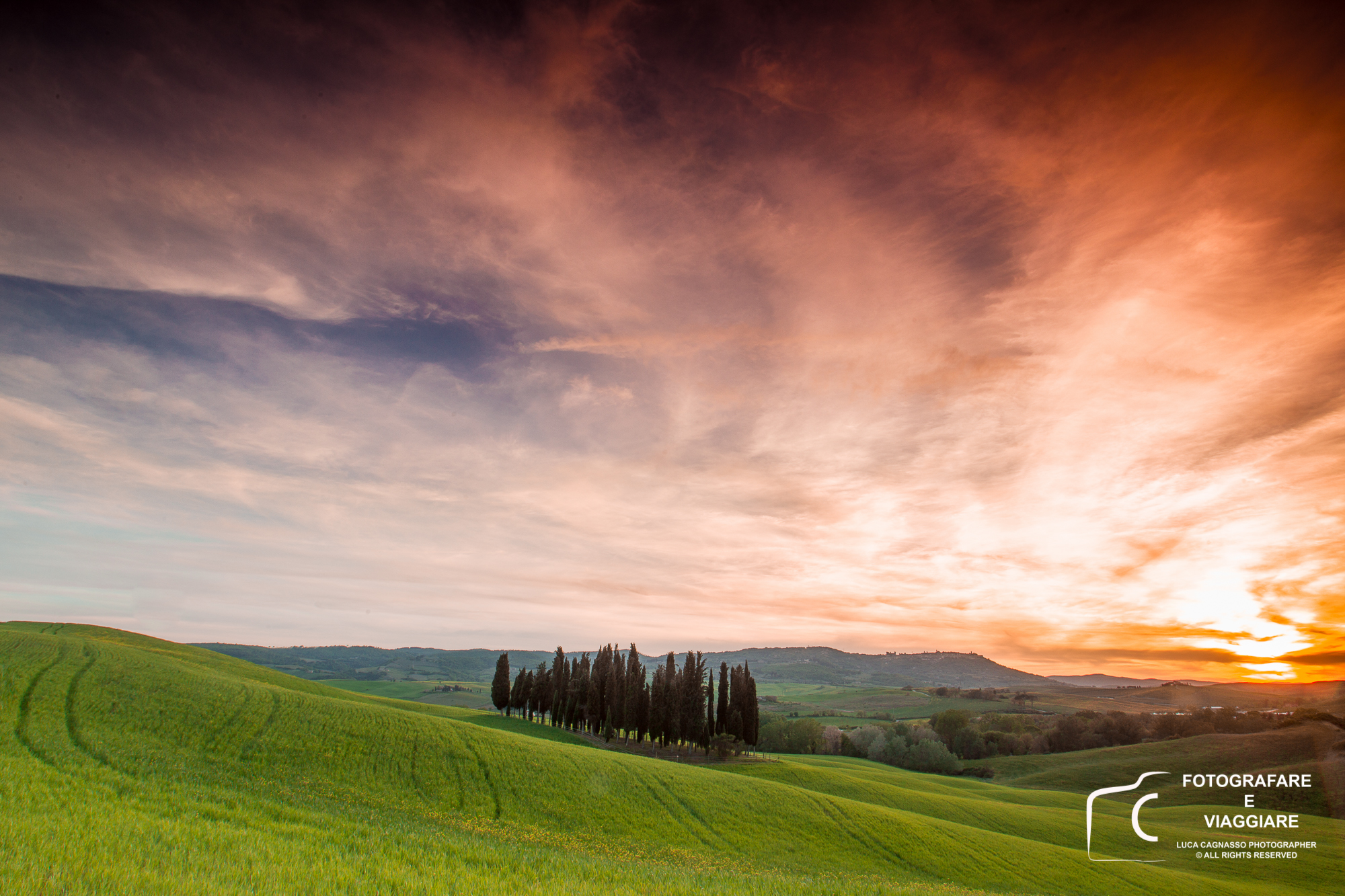 Fiery sunset at the cypress grove