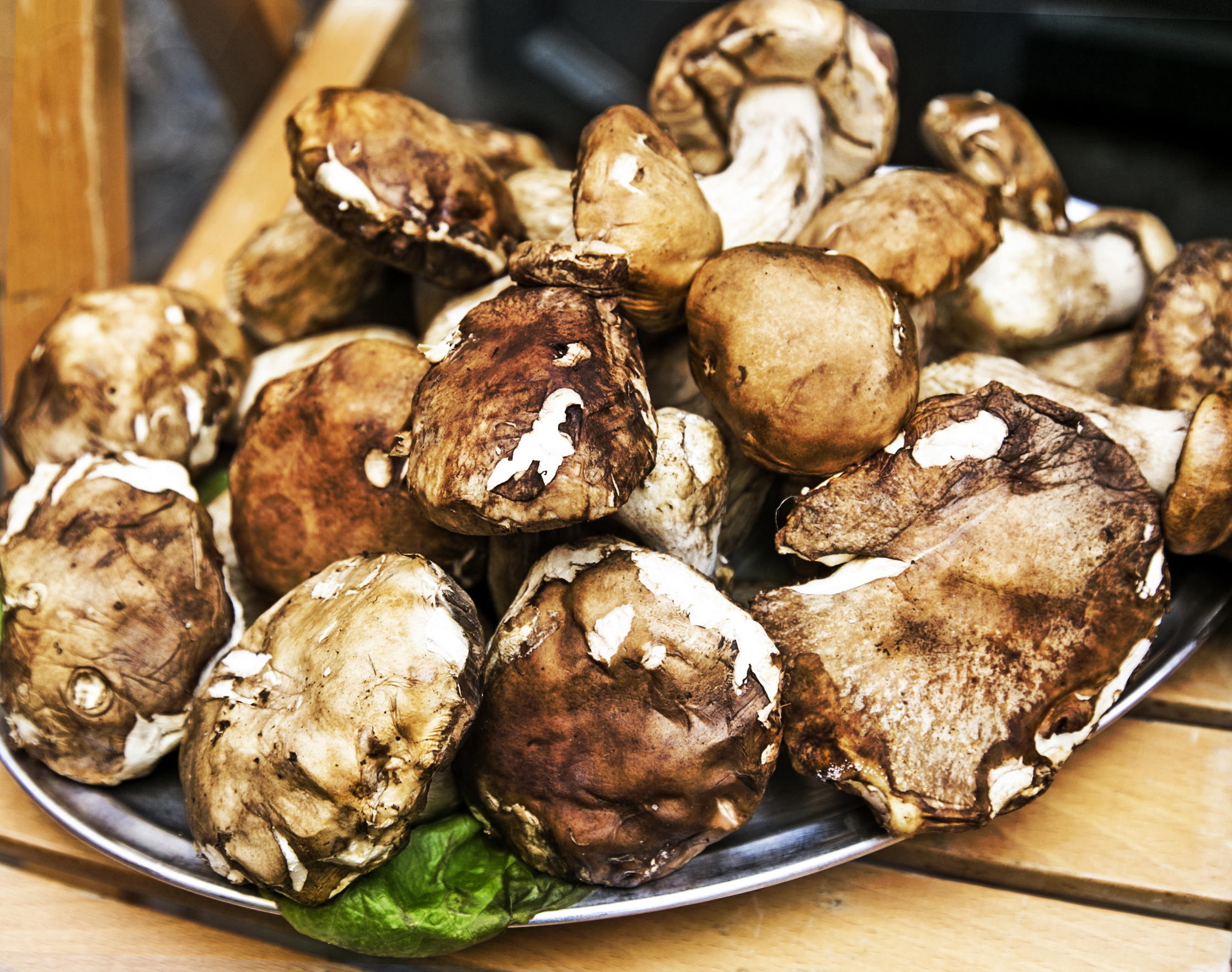Funghi porcini in bellavista
