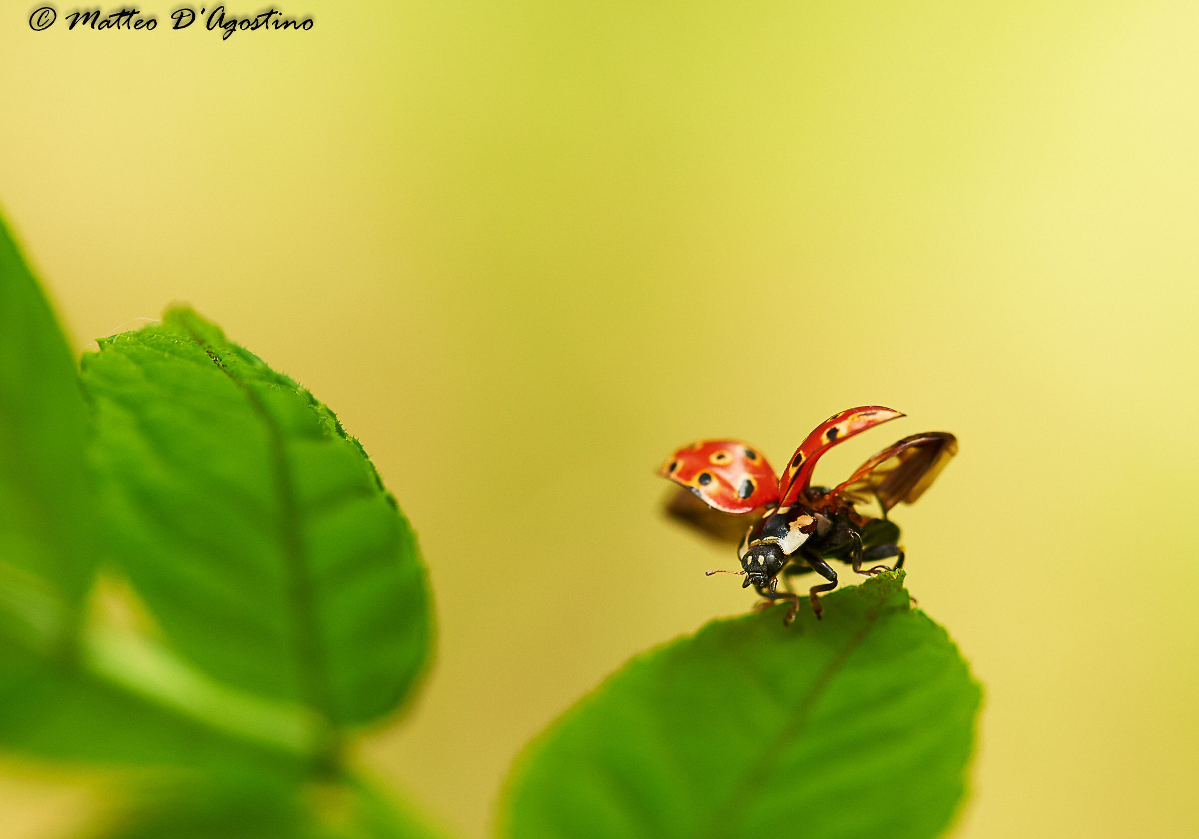 Pronti, partenza... via!!